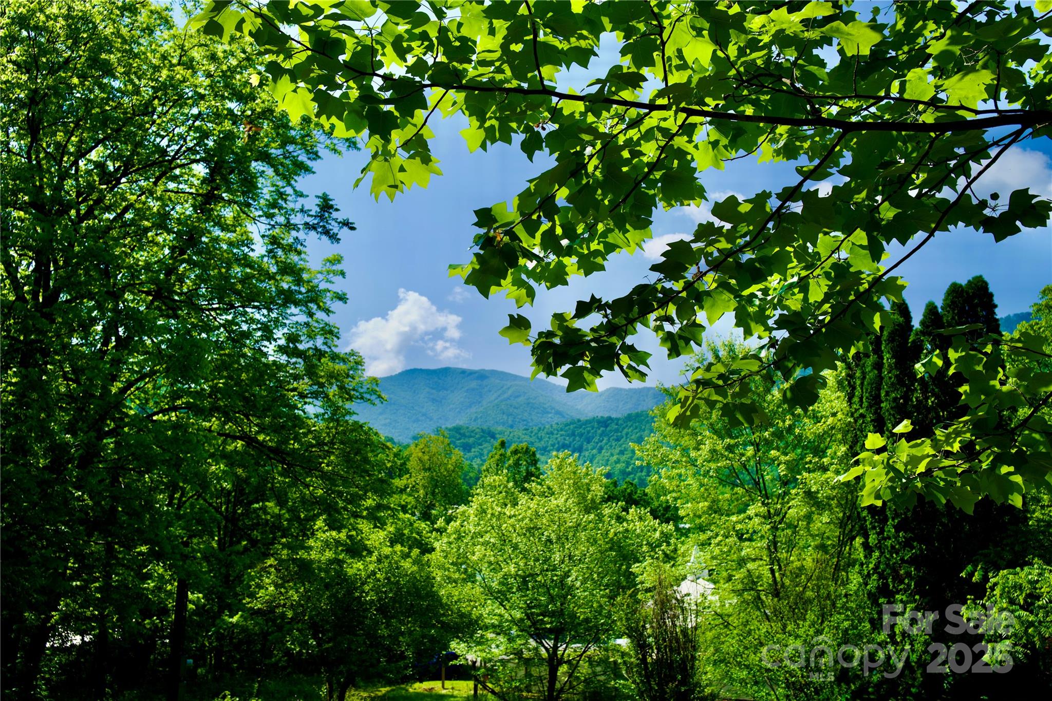 38 Buchanan Hill Road Property Photo 3