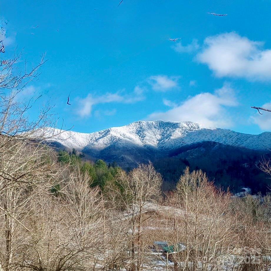 38 Buchanan Hill Road Property Photo 5