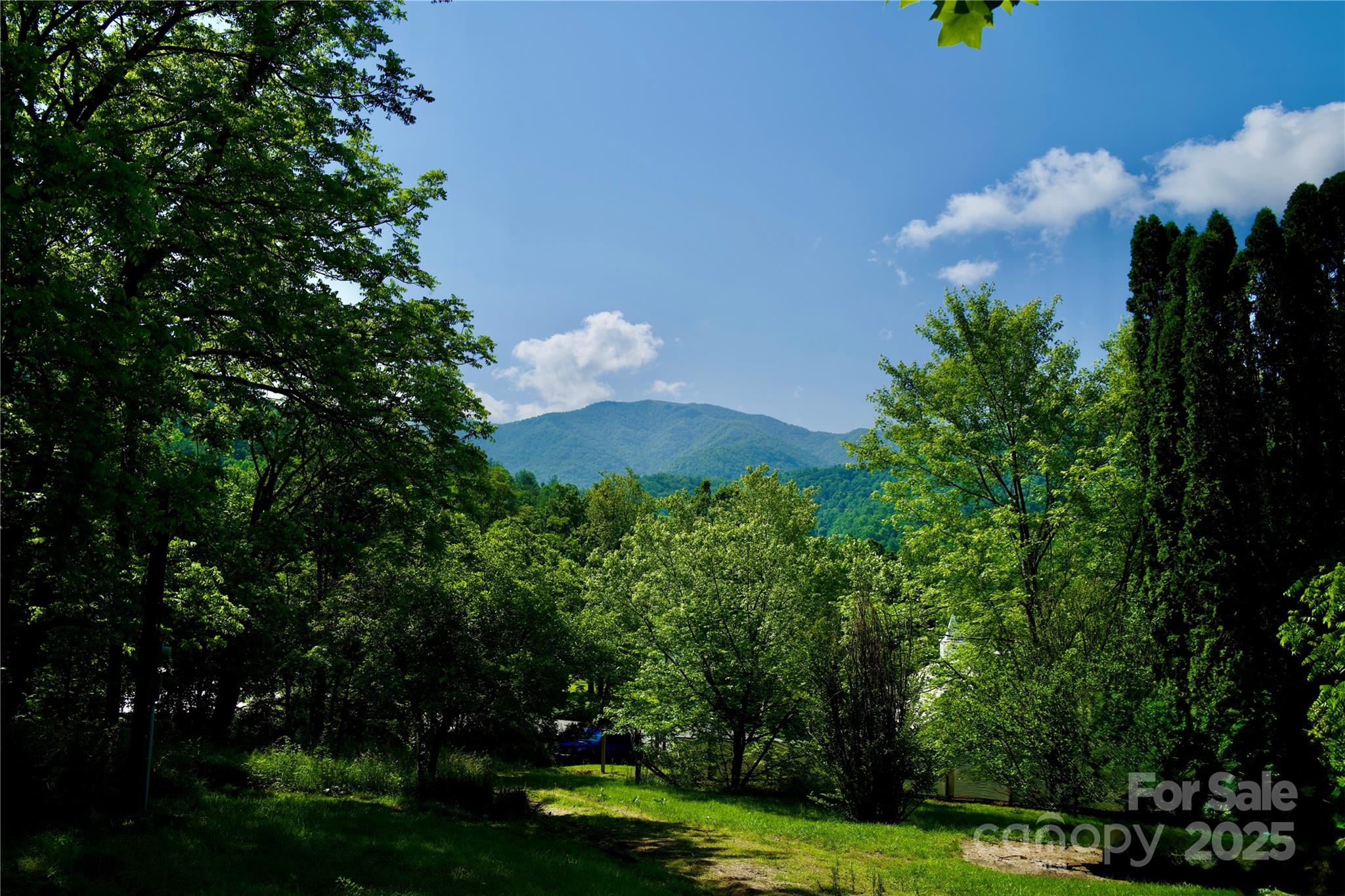 38 Buchanan Hill Road Property Photo 20