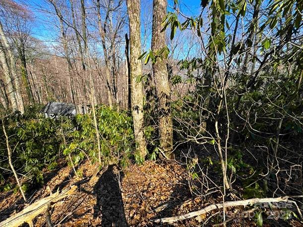 0 Summit Drive Property Photo 12