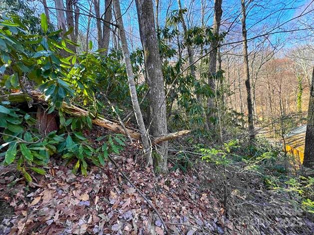 0 Summit Drive Property Photo 22