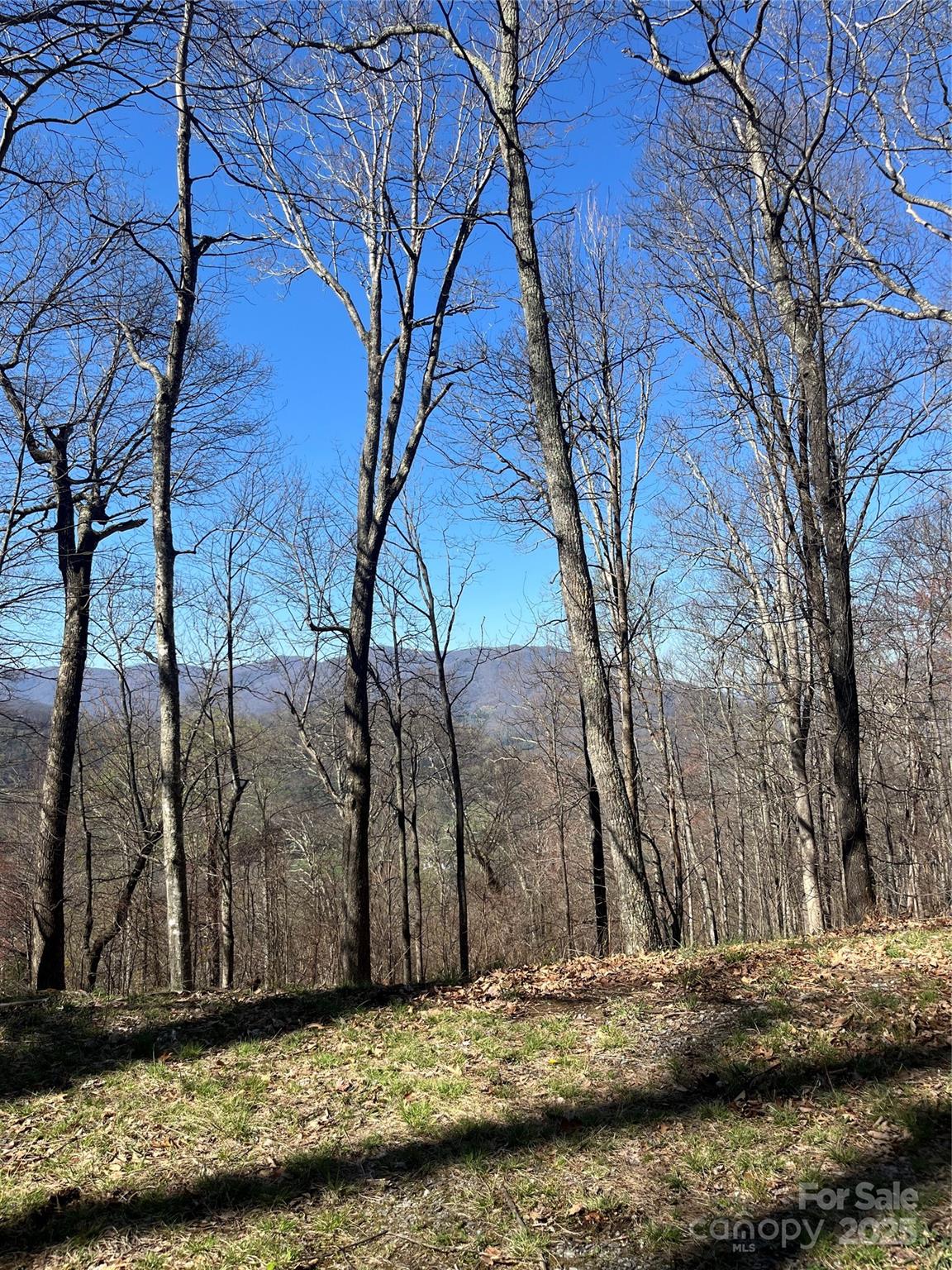 000 Weatherwatch Lane Property Photo
