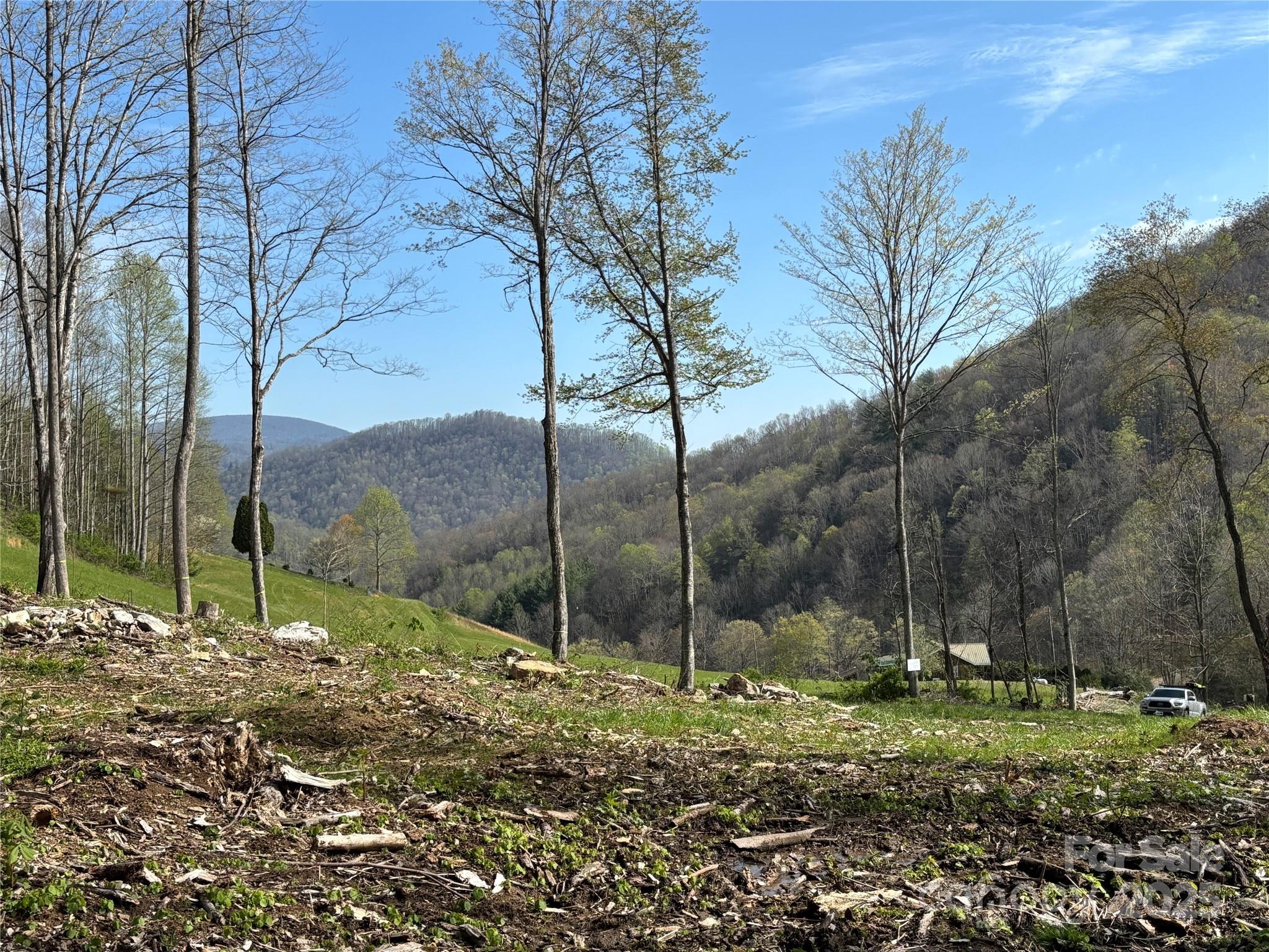 (nw Lot) Tbd Silas Branch Road Property Photo 1