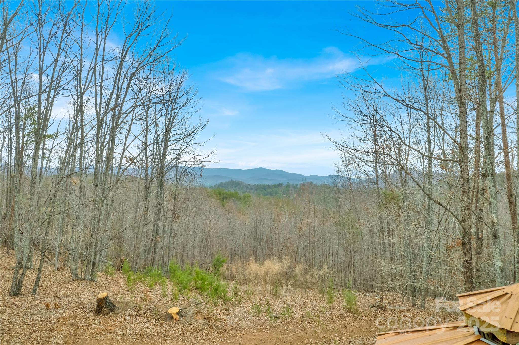 384 Woodgate Drive Property Photo 1