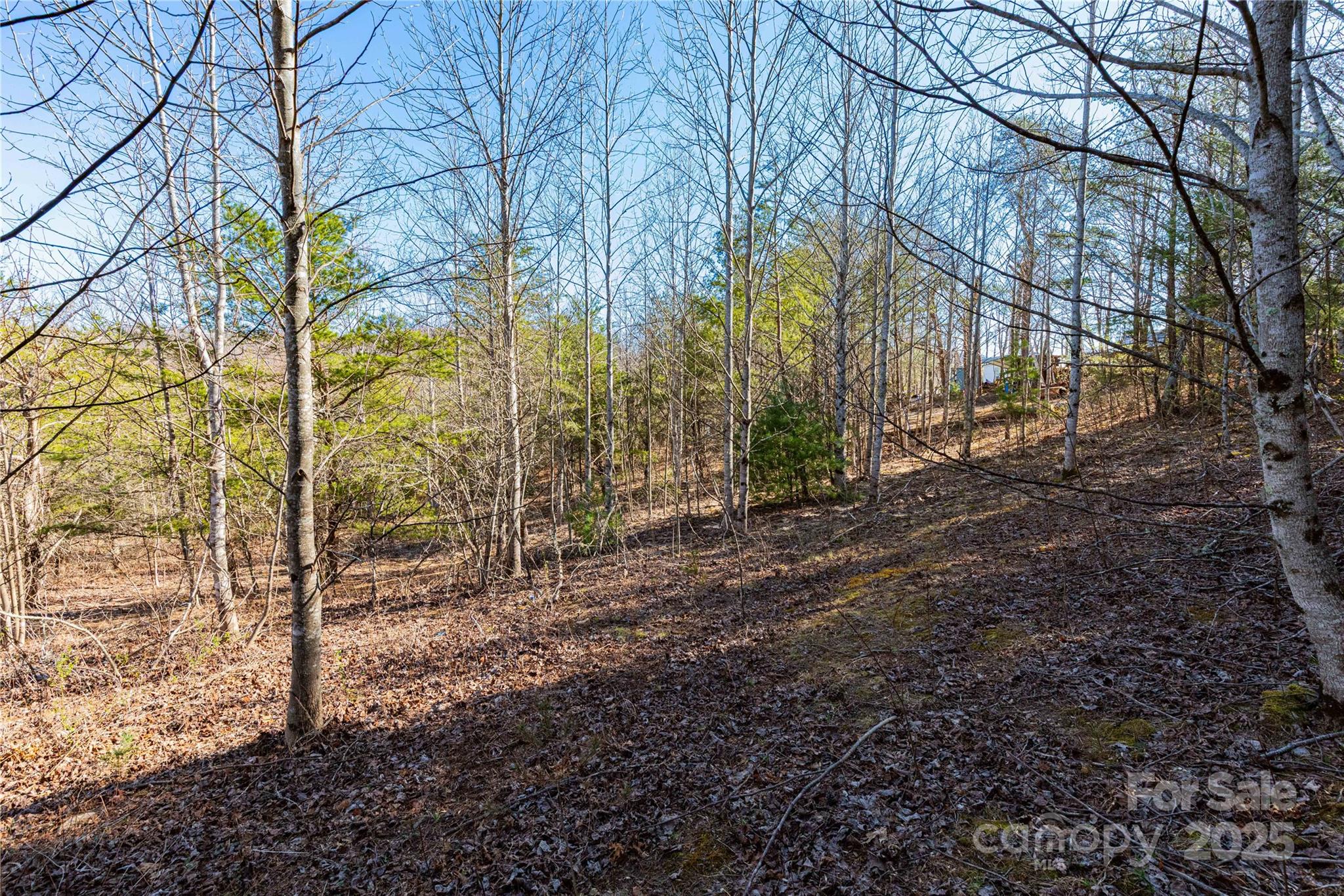 Lot 3 Summer Road Property Photo 1