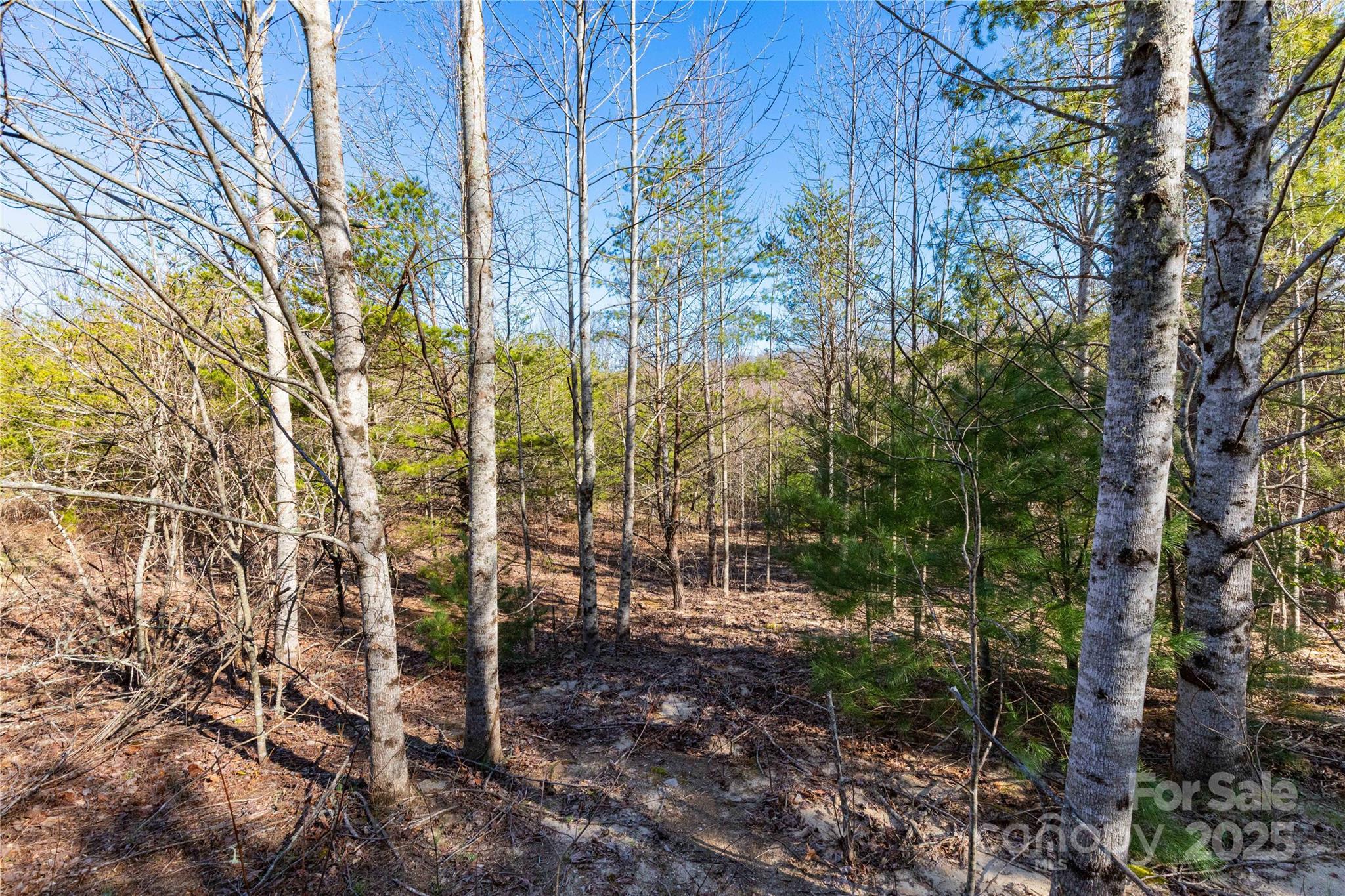Lot 3 Summer Road Property Photo 2