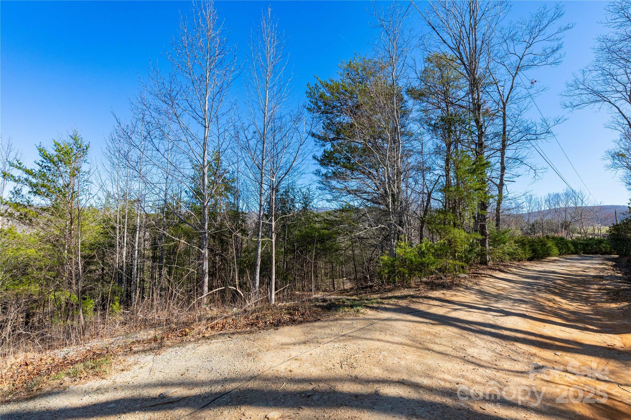 Lot 3 Summer Road Property Photo 6