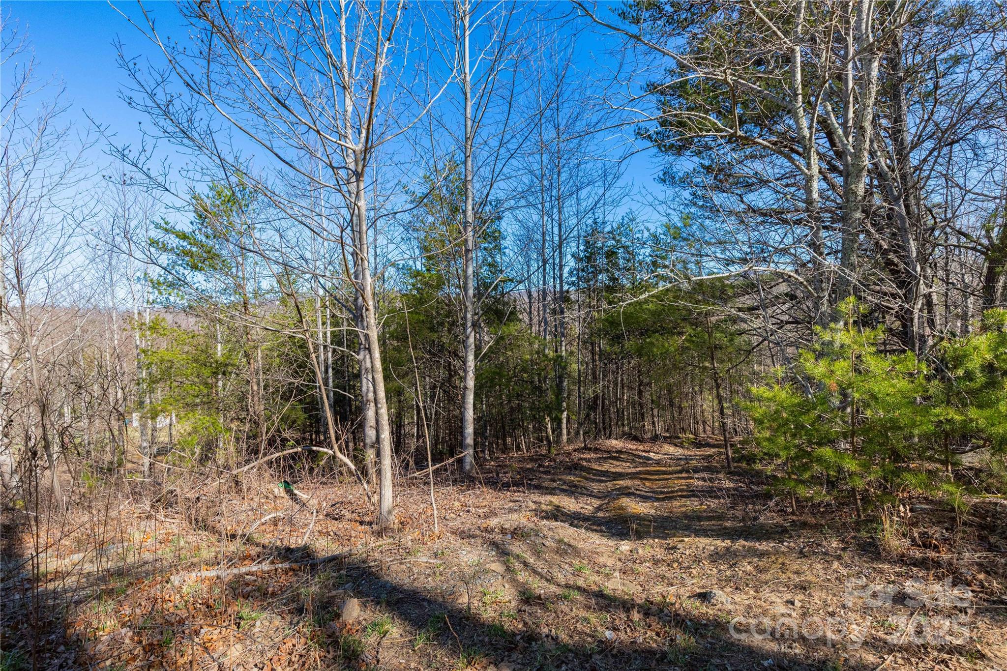 Lot 3 Summer Road Property Photo 7