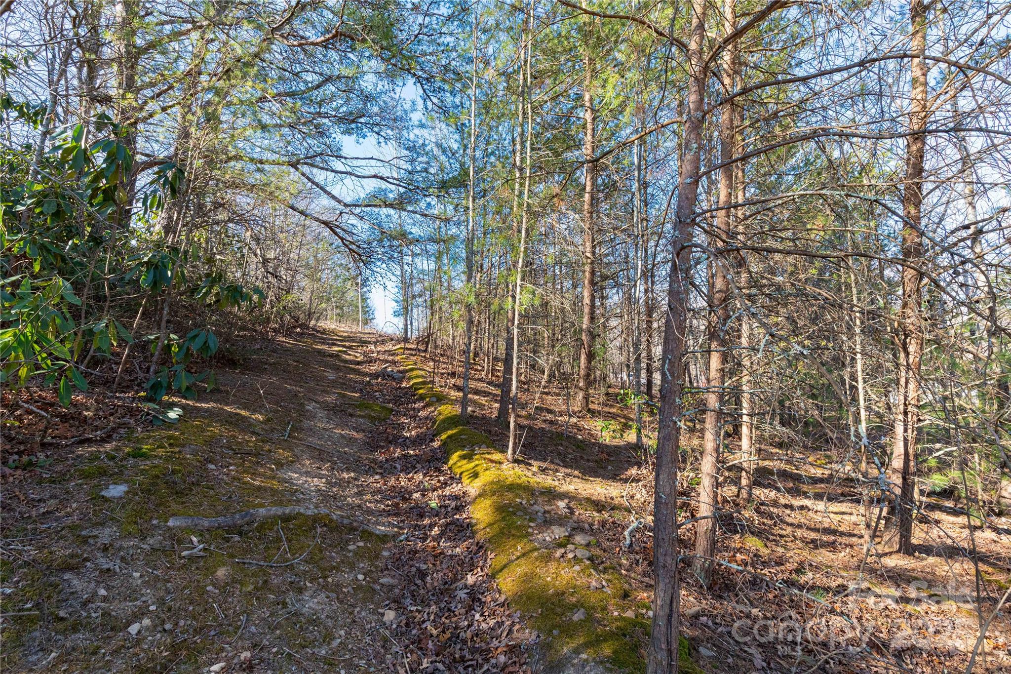 Lot 3 Summer Road Property Photo 8