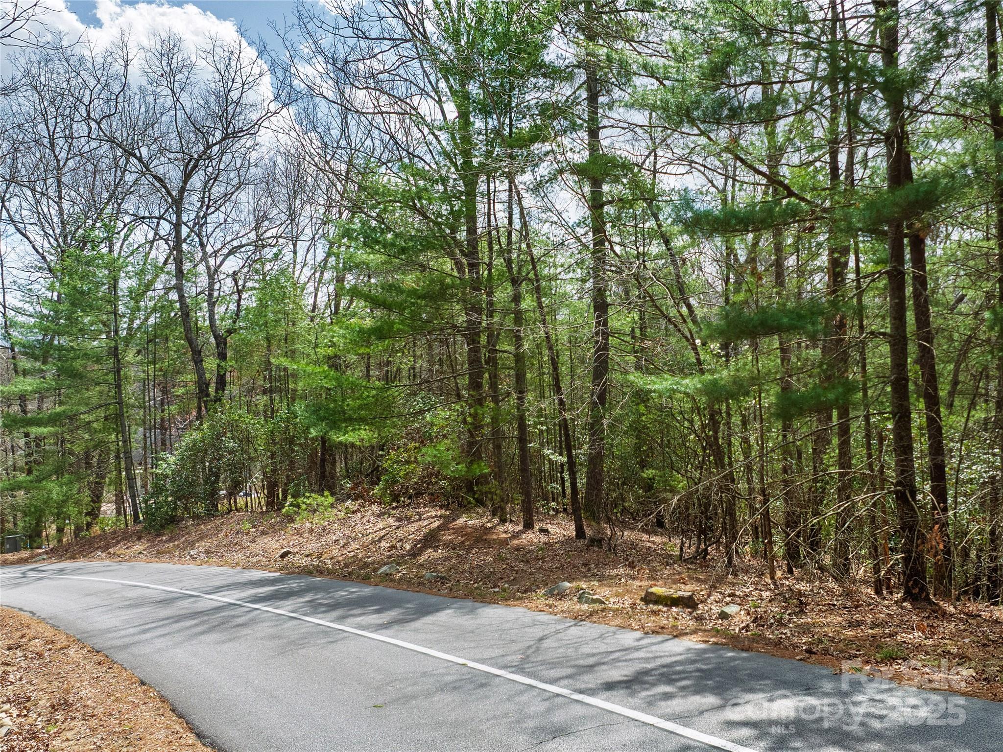 Lot 71 South Ridge Drive Property Photo 3
