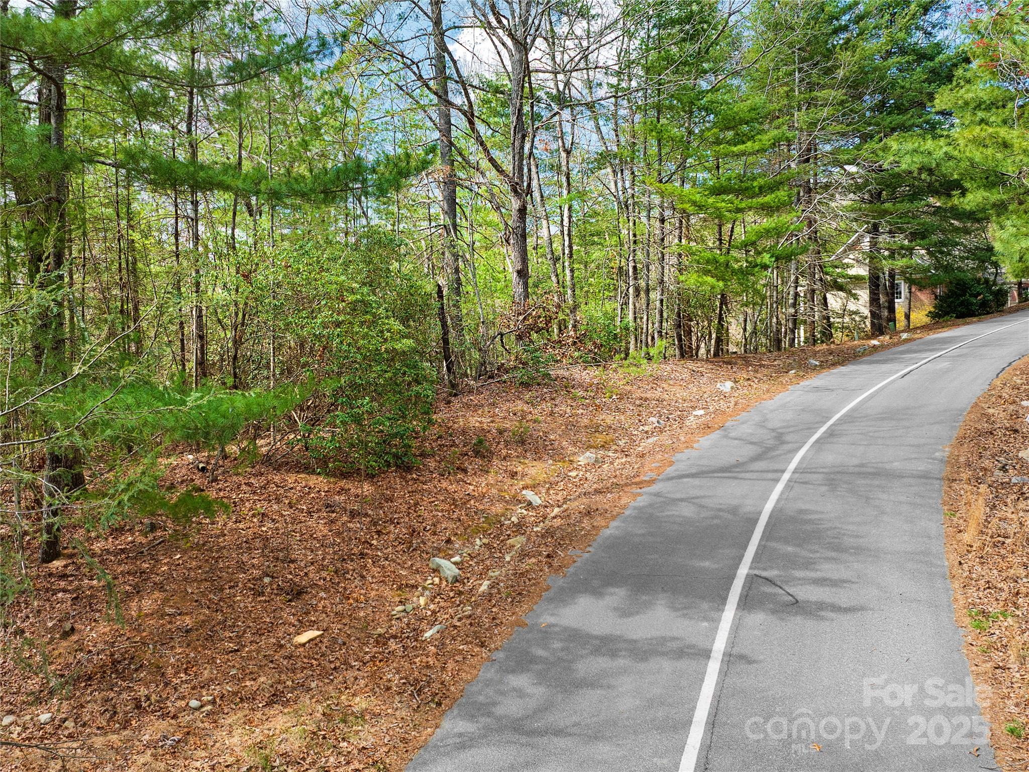 Lot 71 South Ridge Drive Property Photo 4