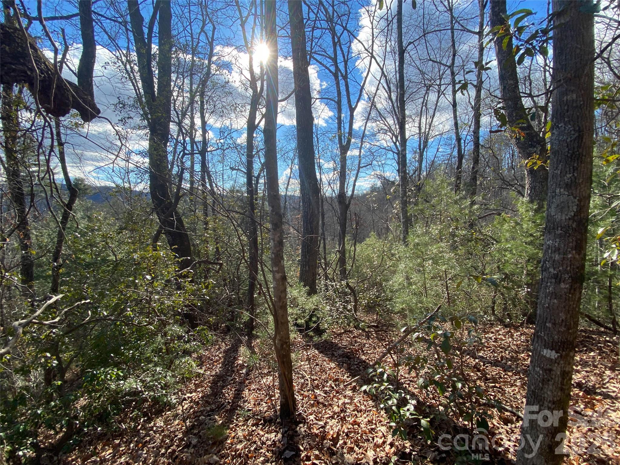 999 High Point Trail 32 Property Photo 2