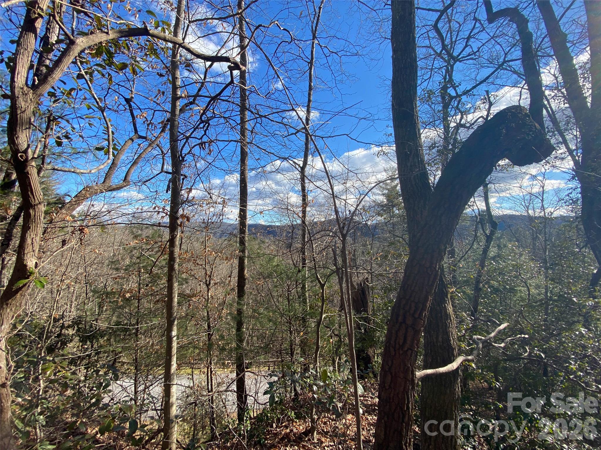 999 High Point Trail 32 Property Photo 6