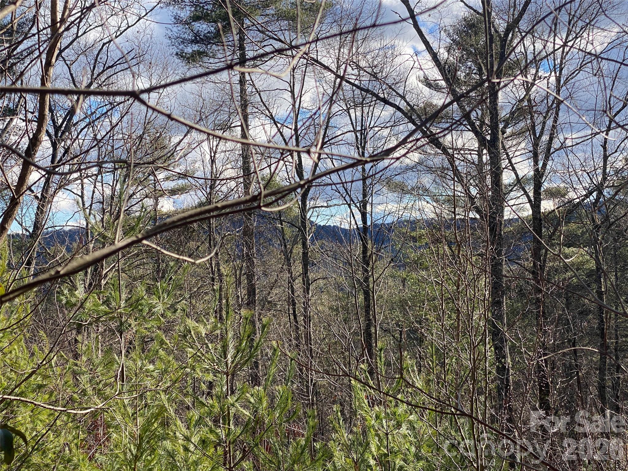 999 High Point Trail 32 Property Photo 7