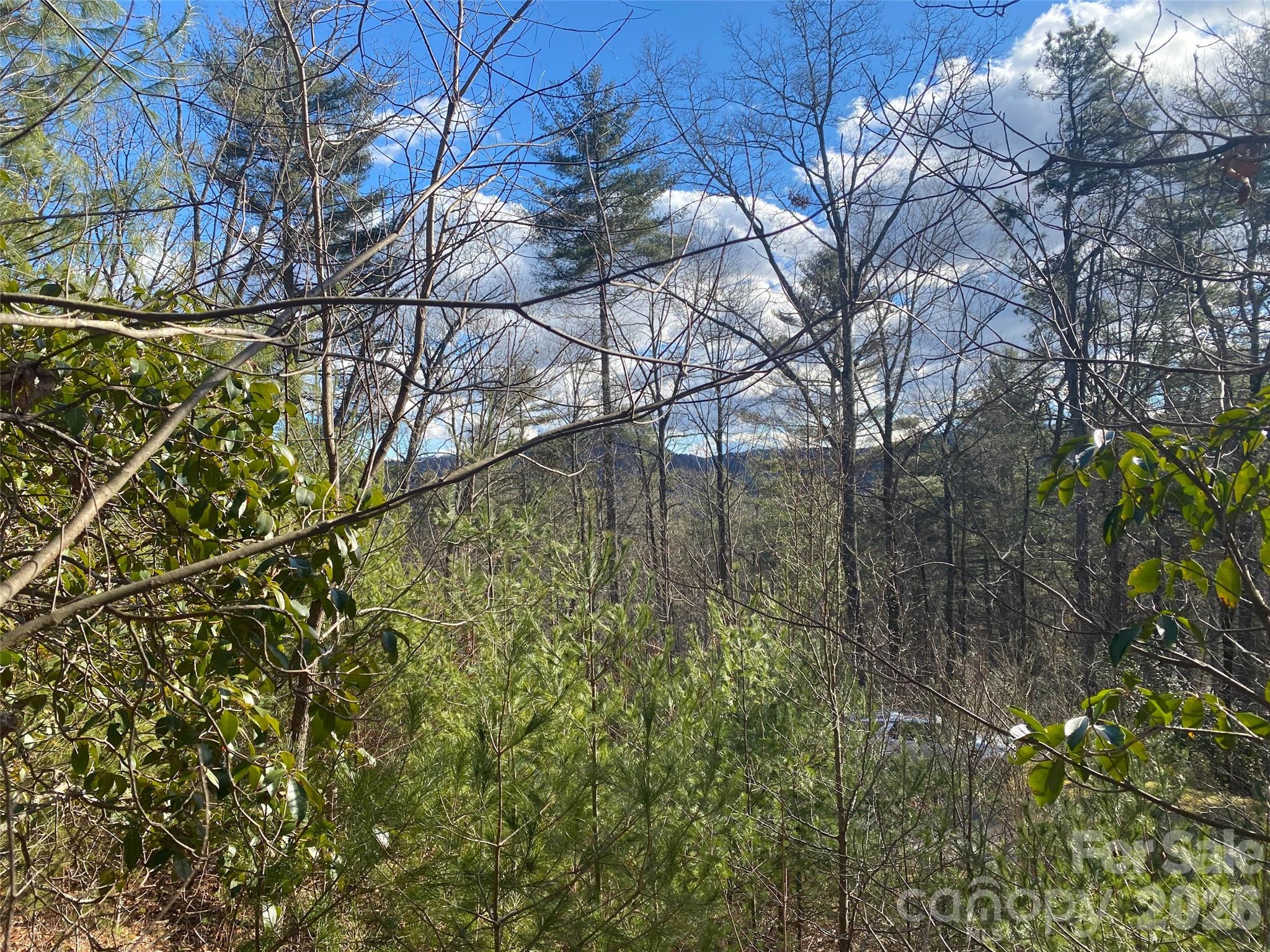 999 High Point Trail 32 Property Photo 8