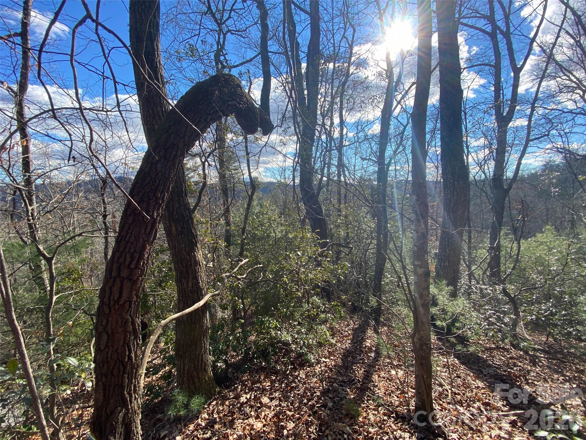 999 High Point Trail 32 Property Photo 10