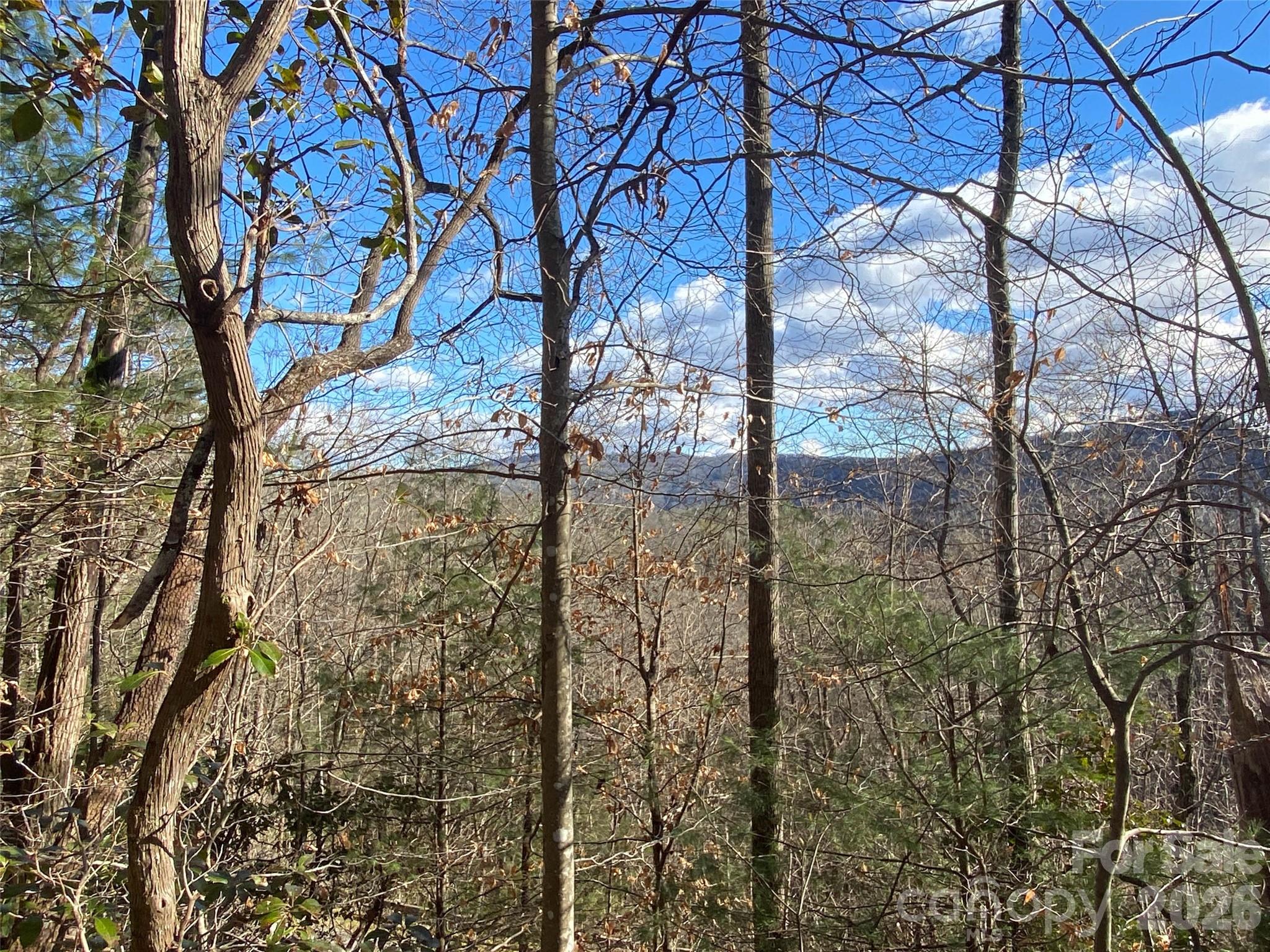 999 High Point Trail 32 Property Photo 11