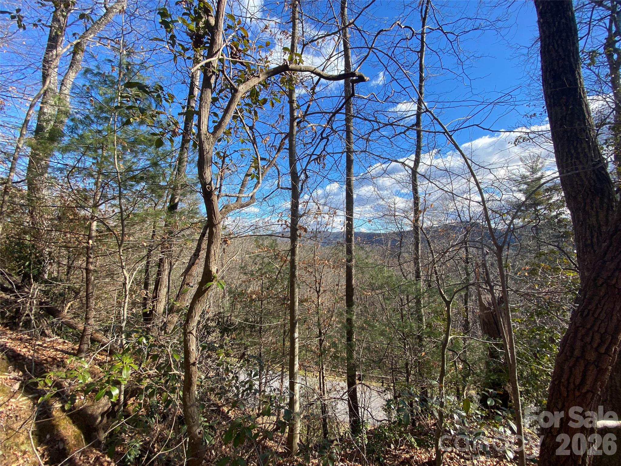 999 High Point Trail 32 Property Photo 12