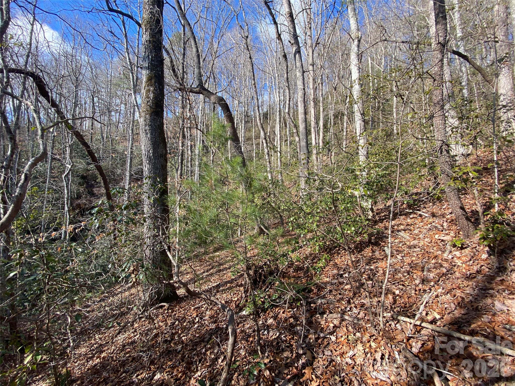 999 High Point Trail 32 Property Photo 13