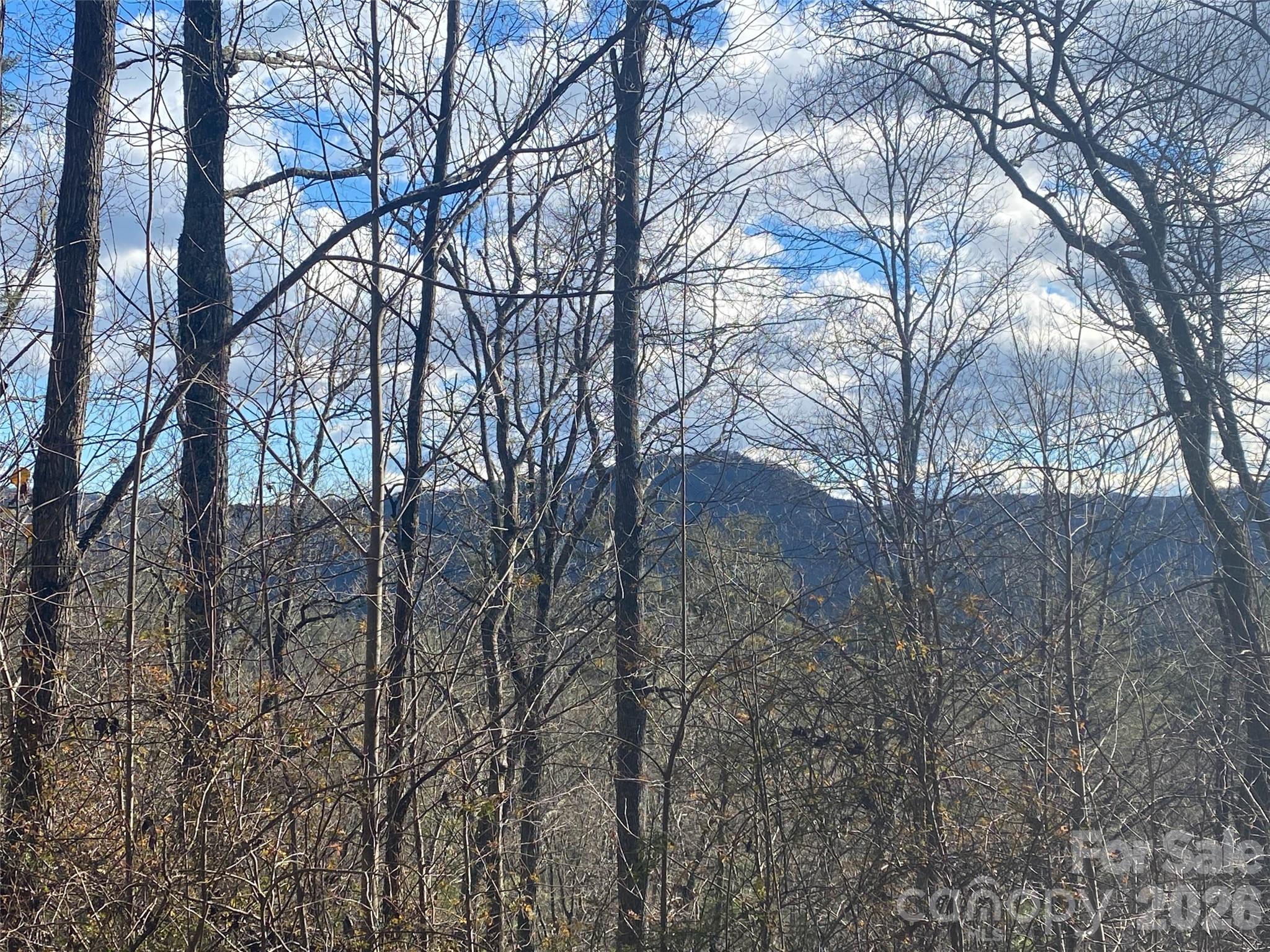 999 High Point Trail 32 Property Photo 16