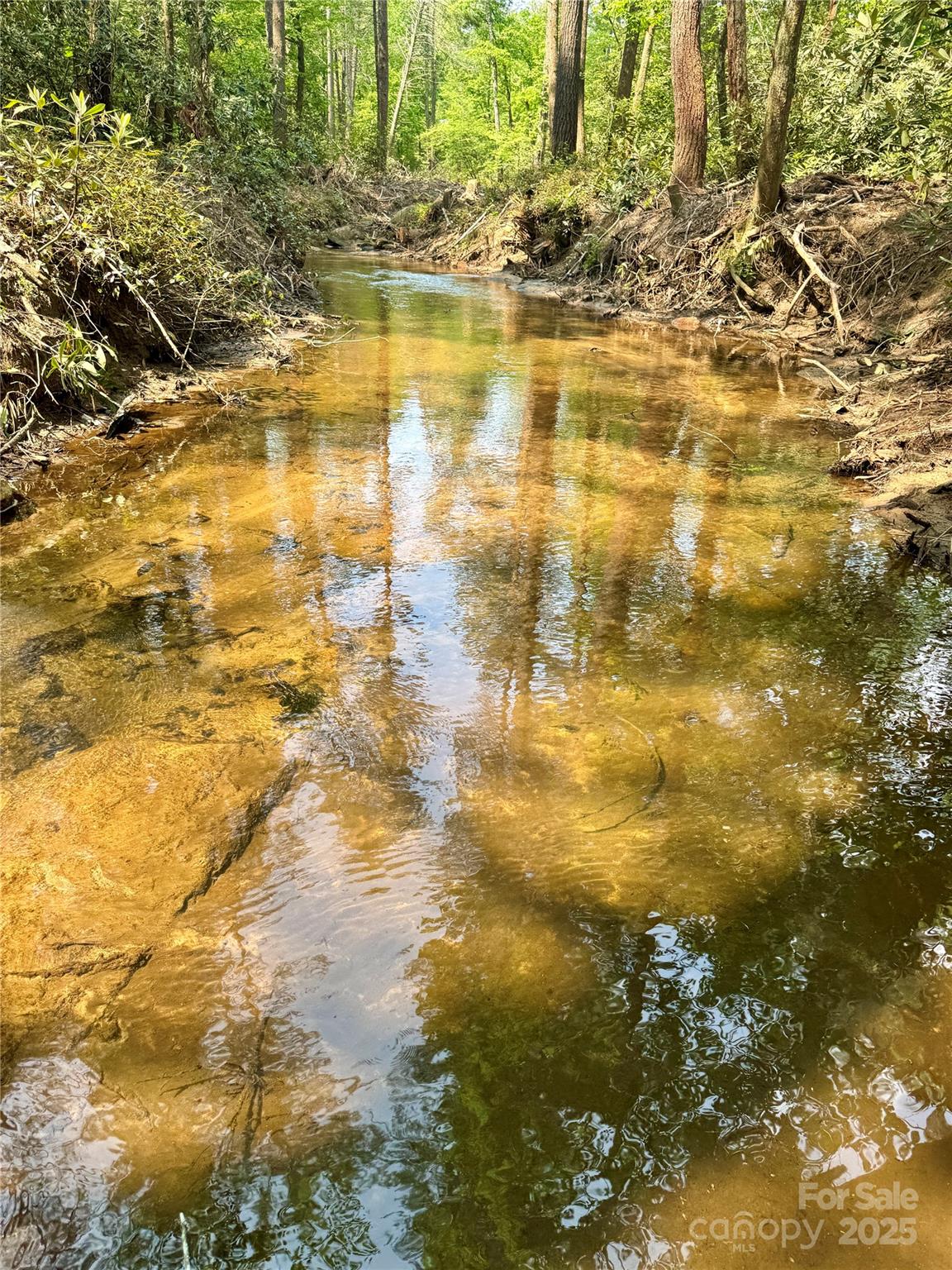 45 Stones Lake Road Property Photo 3