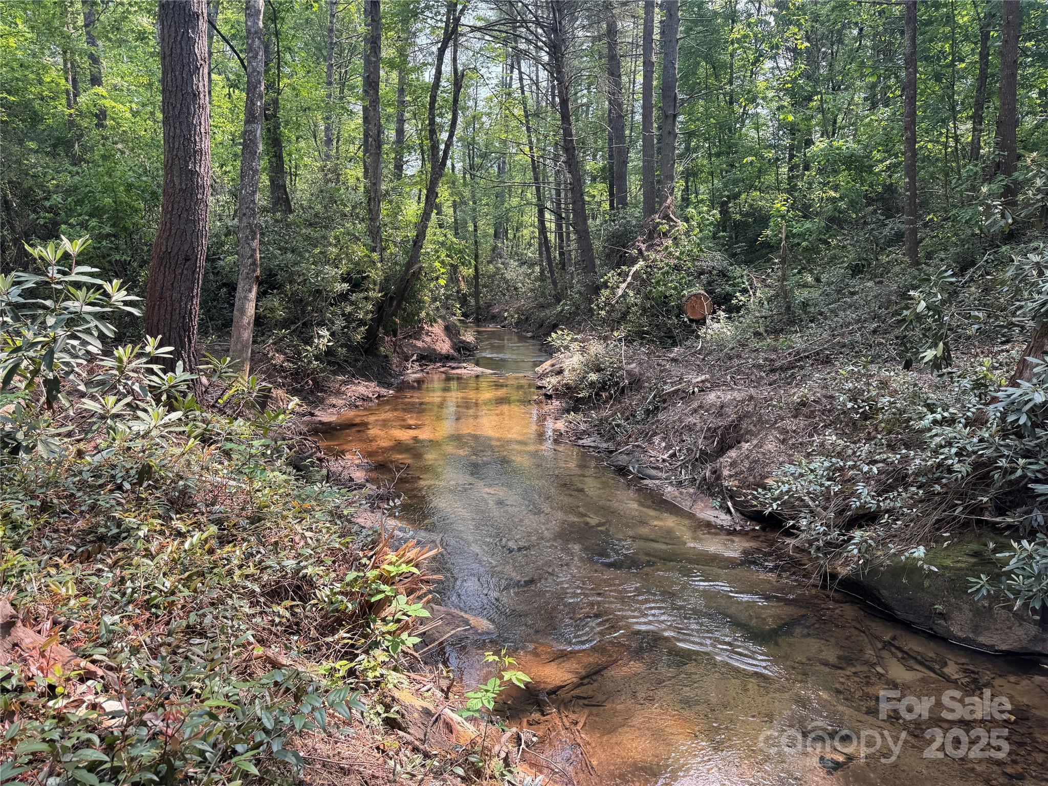 45 Stones Lake Road Property Photo 5