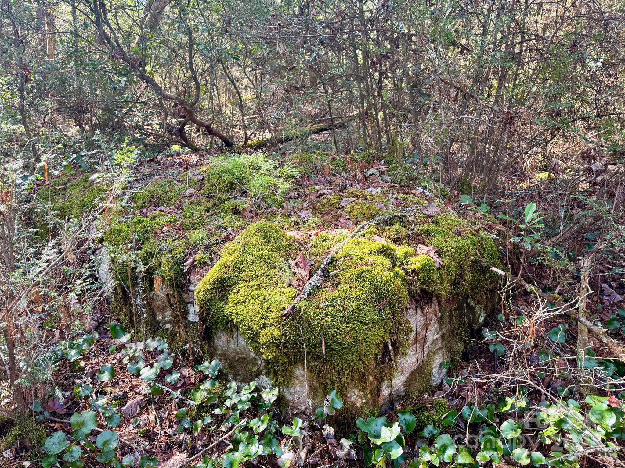 45 Stones Lake Road Property Photo 6