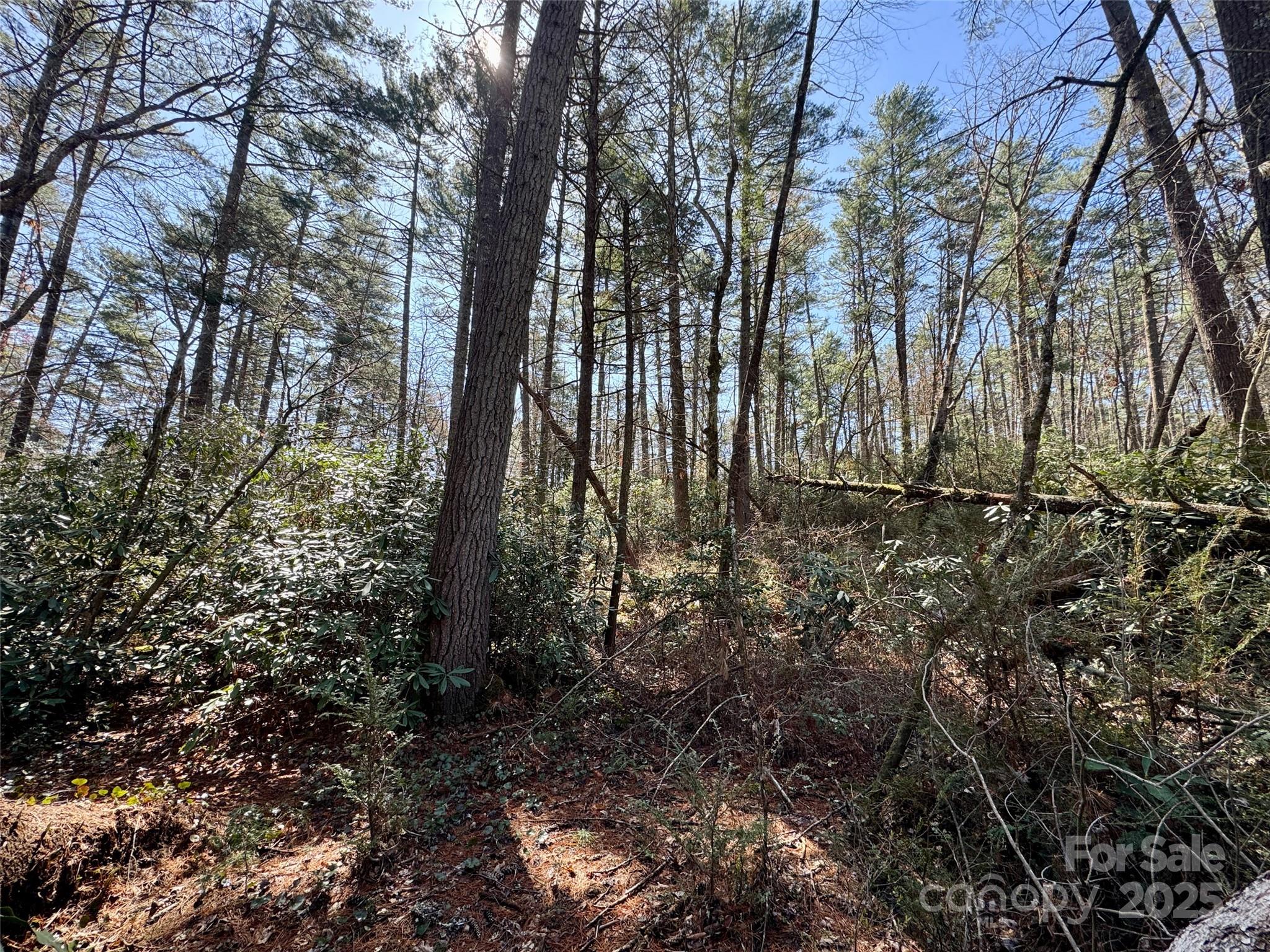 45 Stones Lake Road Property Photo 8