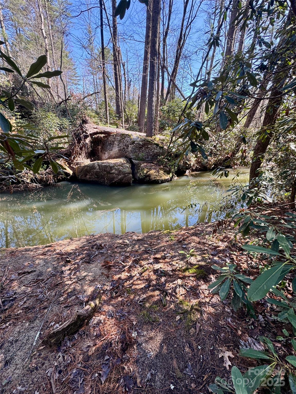 45 Stones Lake Road Property Photo 9