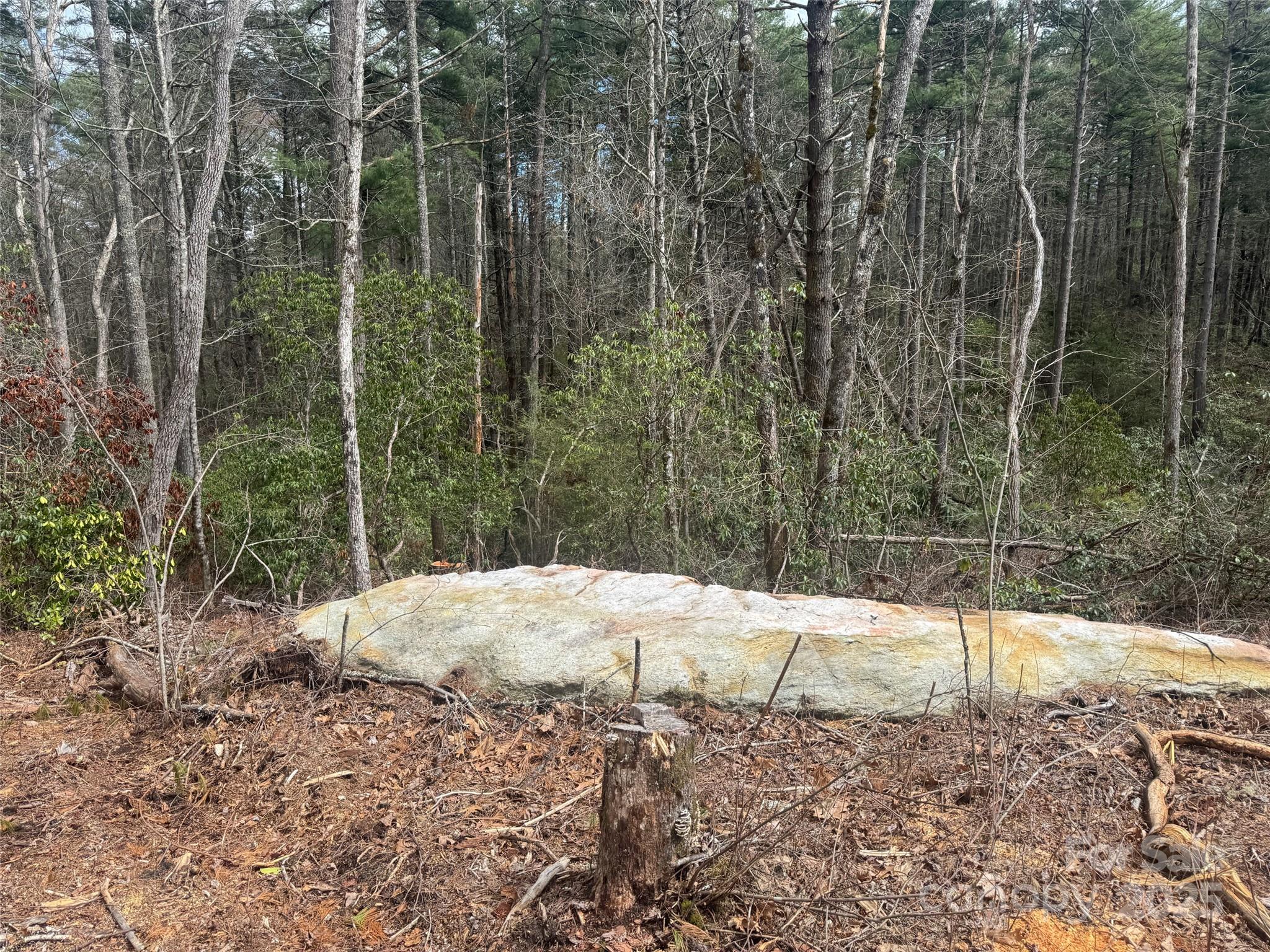 45 Stones Lake Road Property Photo 11