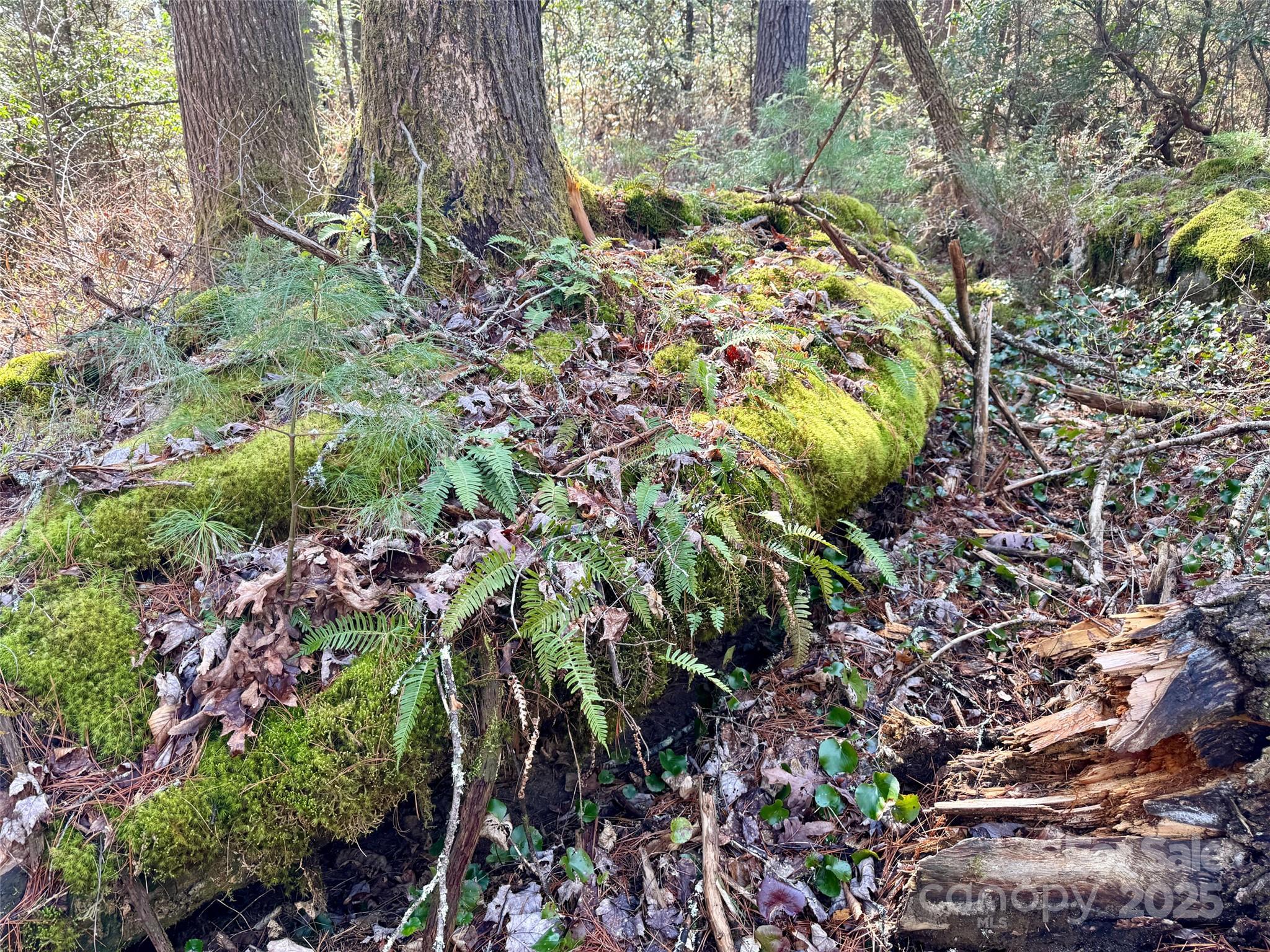 45 Stones Lake Road Property Photo 12