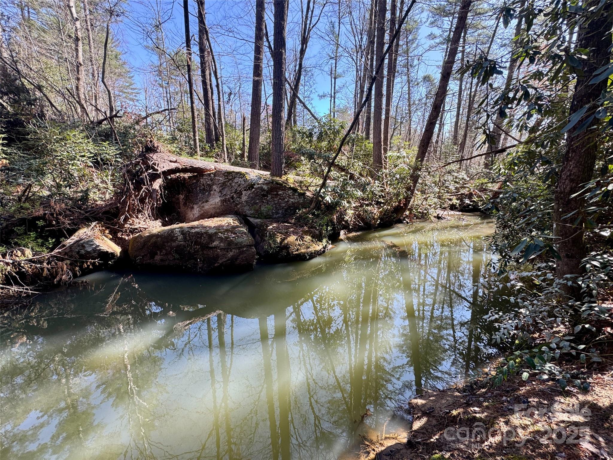 45 Stones Lake Road Property Photo 14