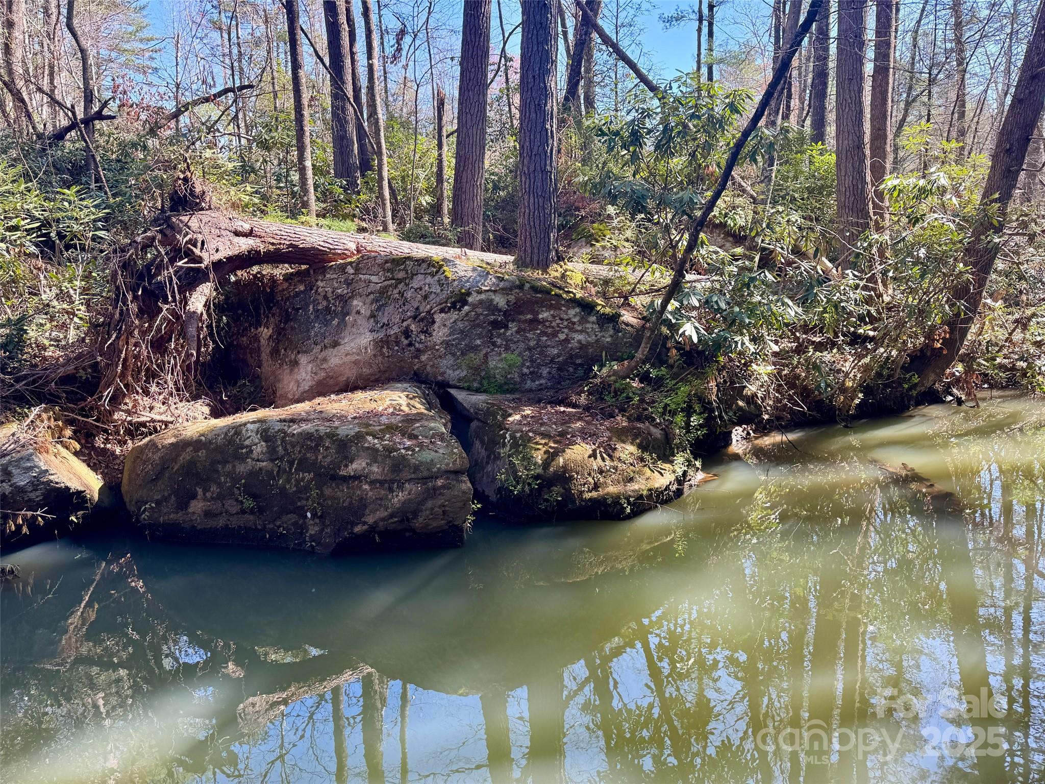 45 Stones Lake Road Property Photo 16