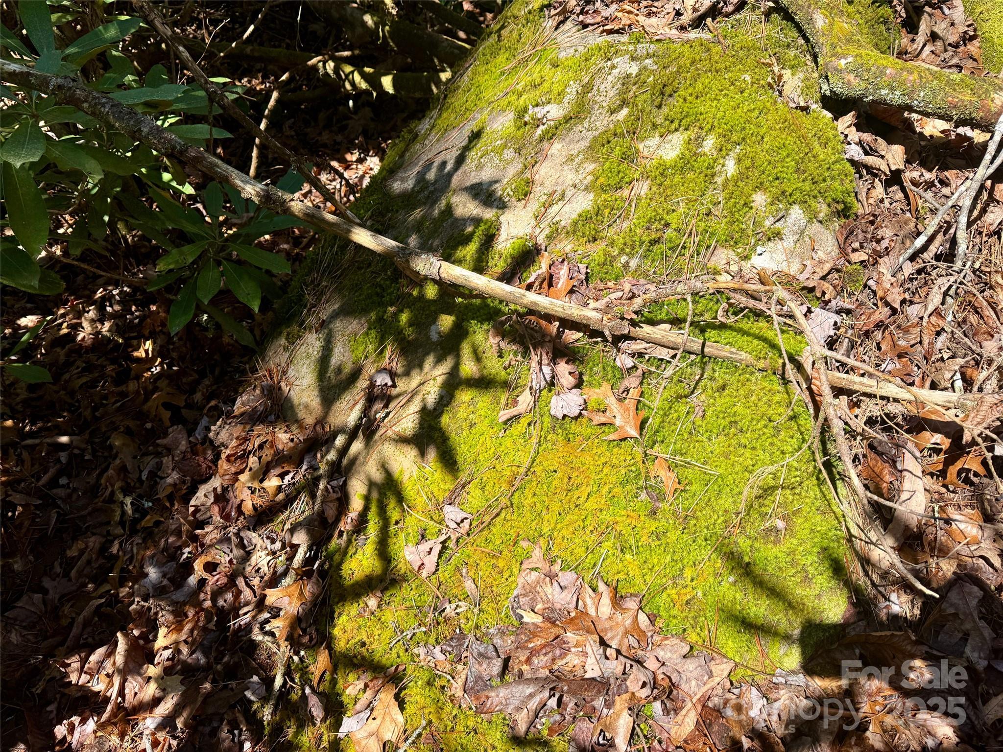 45 Stones Lake Road Property Photo 17