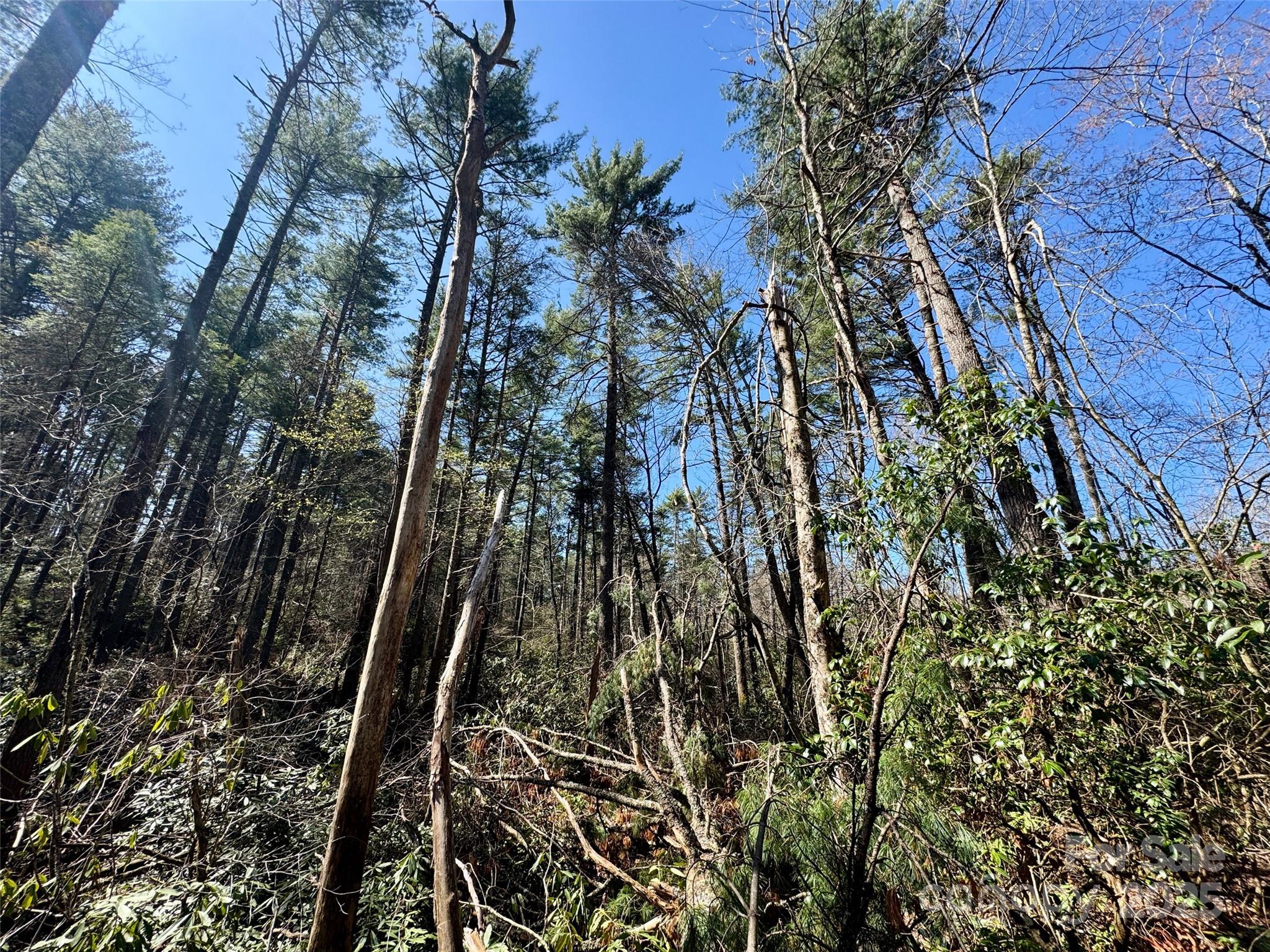 45 Stones Lake Road Property Photo 18