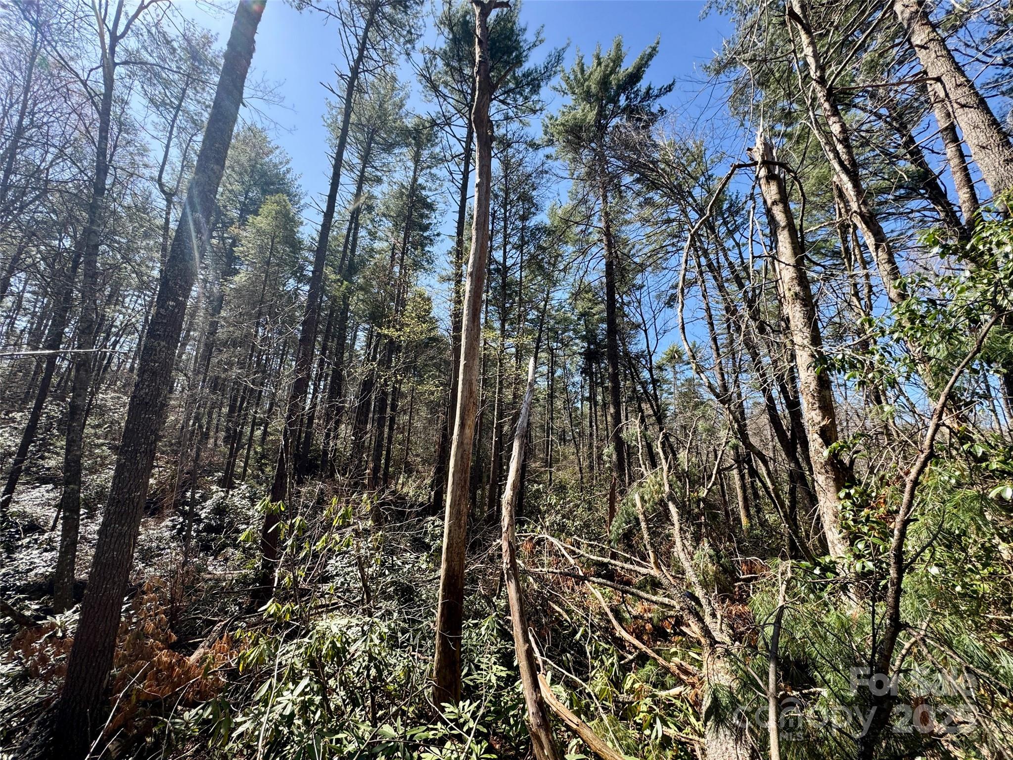 45 Stones Lake Road Property Photo 19