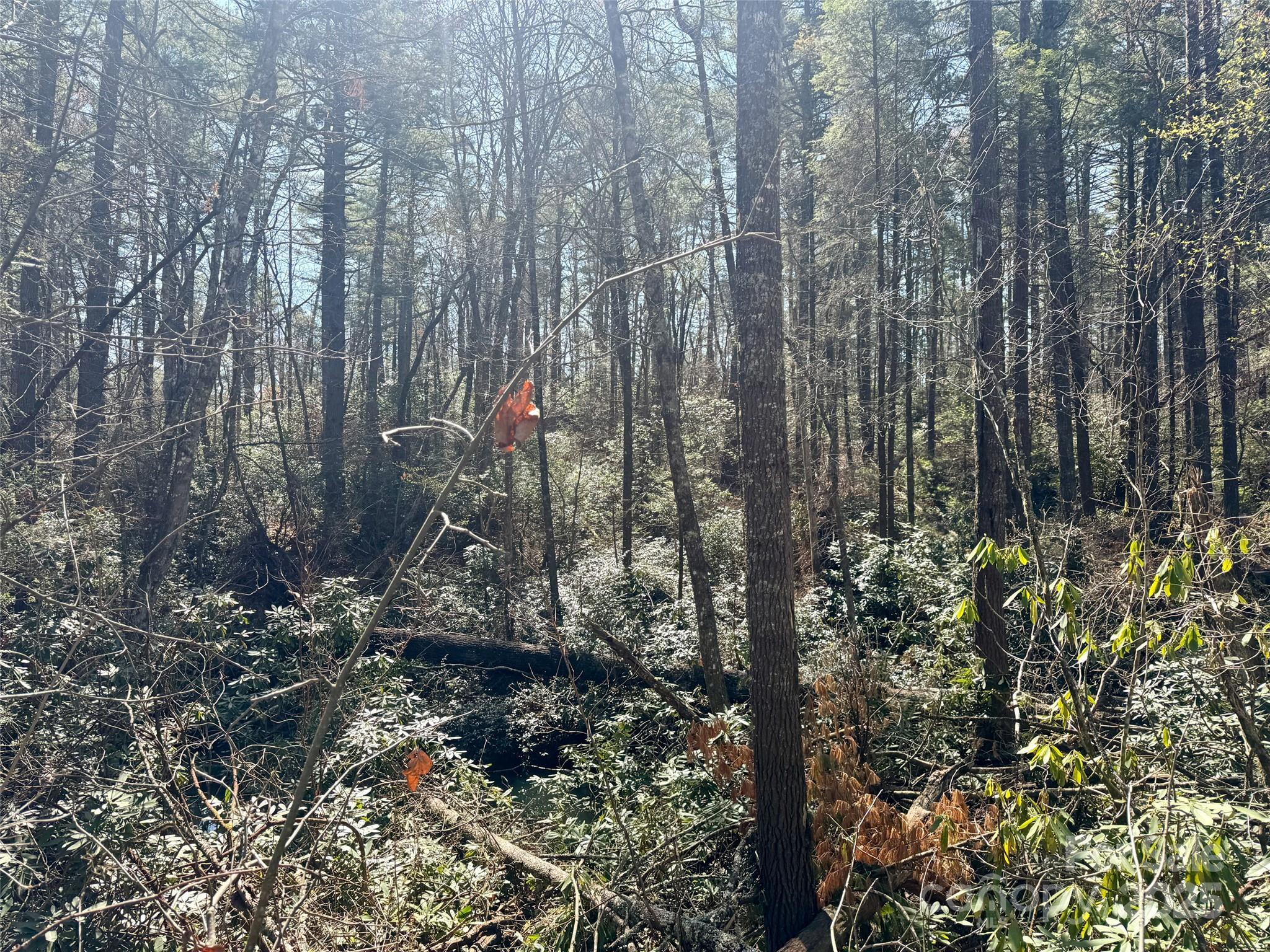 45 Stones Lake Road Property Photo 20