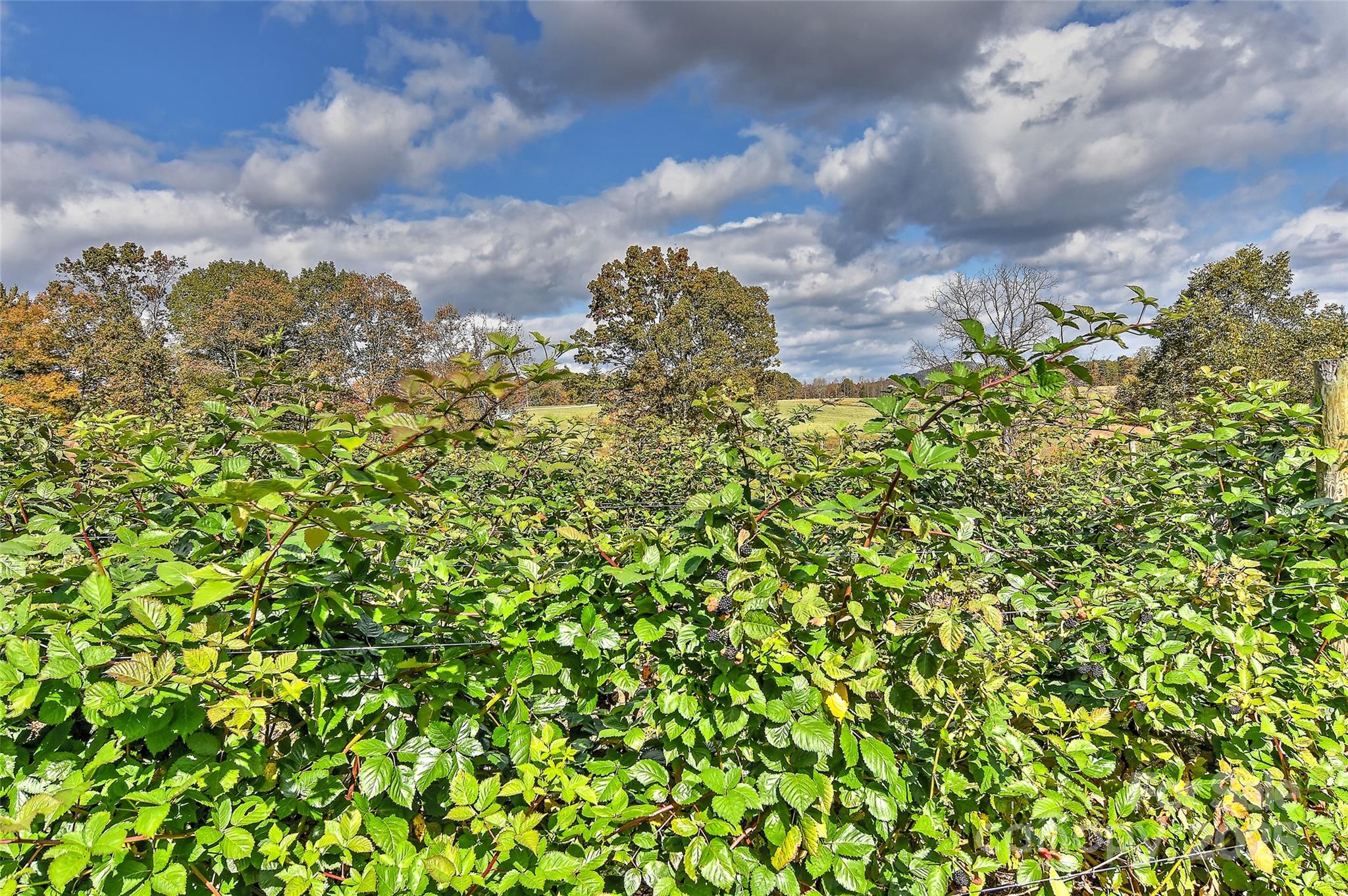 153 Badenyon Place Property Photo 40