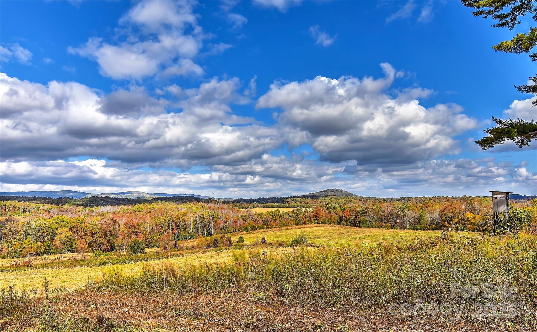 153 Badenyon Place Property Photo 42