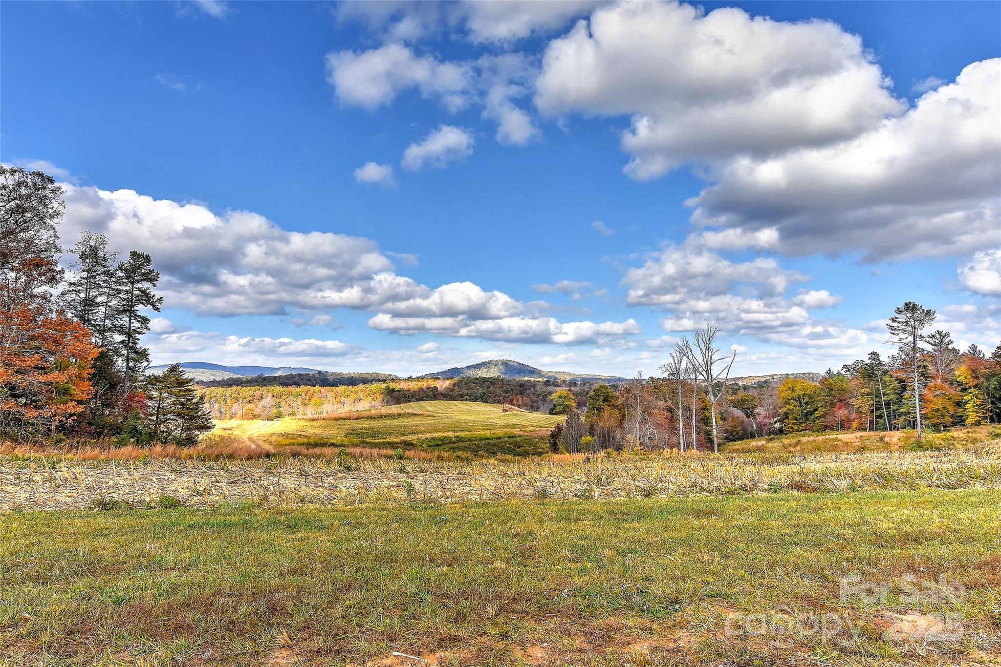 153 Badenyon Place Property Photo 45
