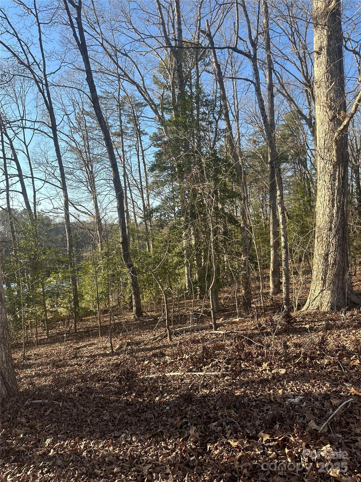 0 Dallas High Shoals Highway Property Photo 1