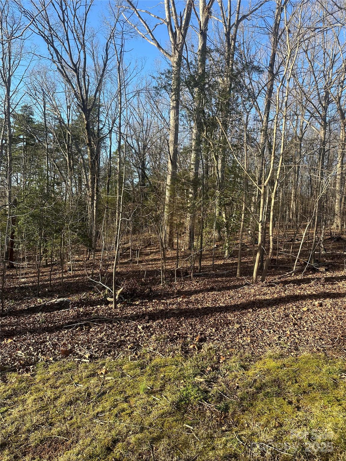 0 Dallas High Shoals Highway Property Photo 2