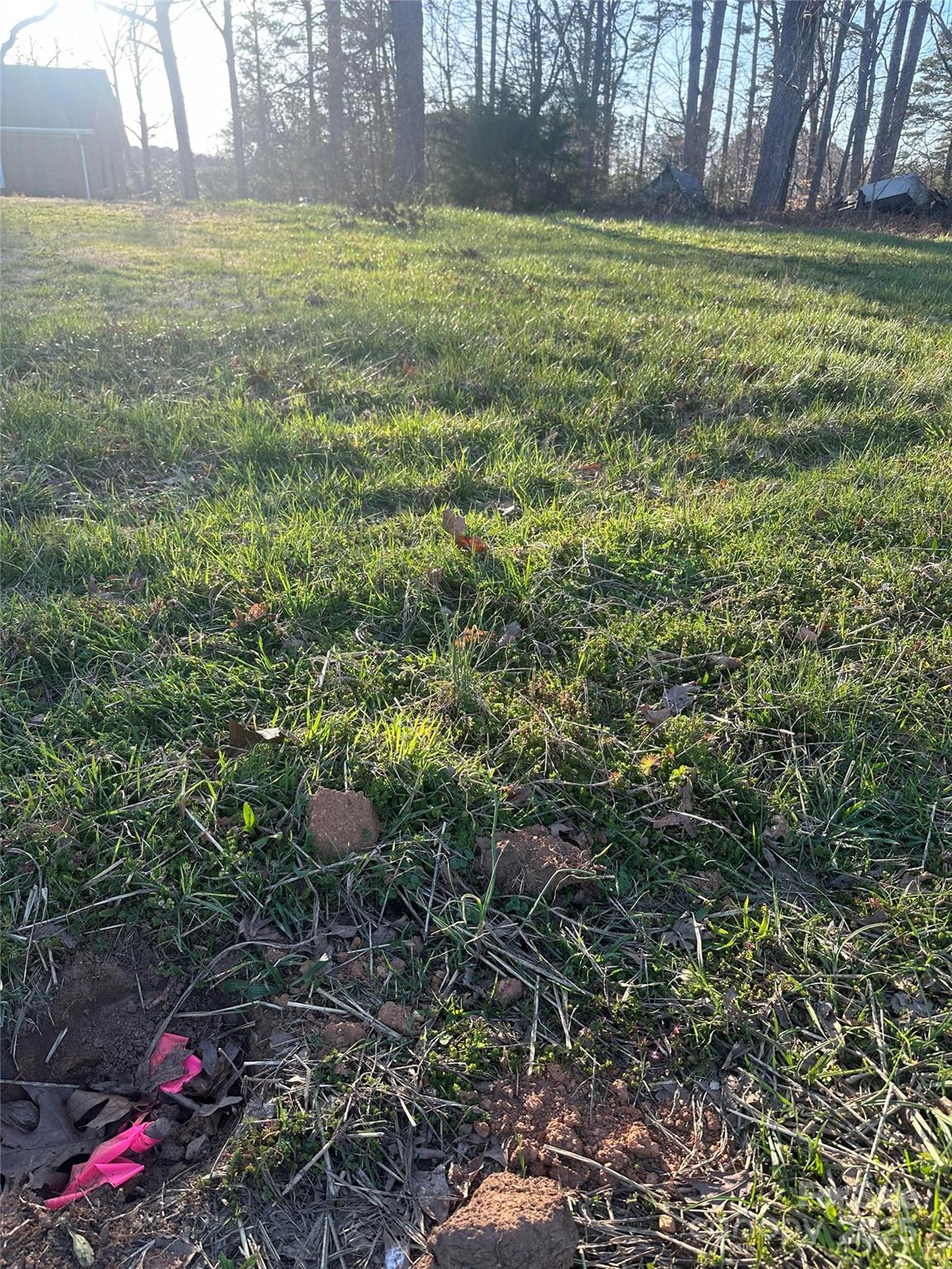 0 Dallas High Shoals Highway Property Photo 3