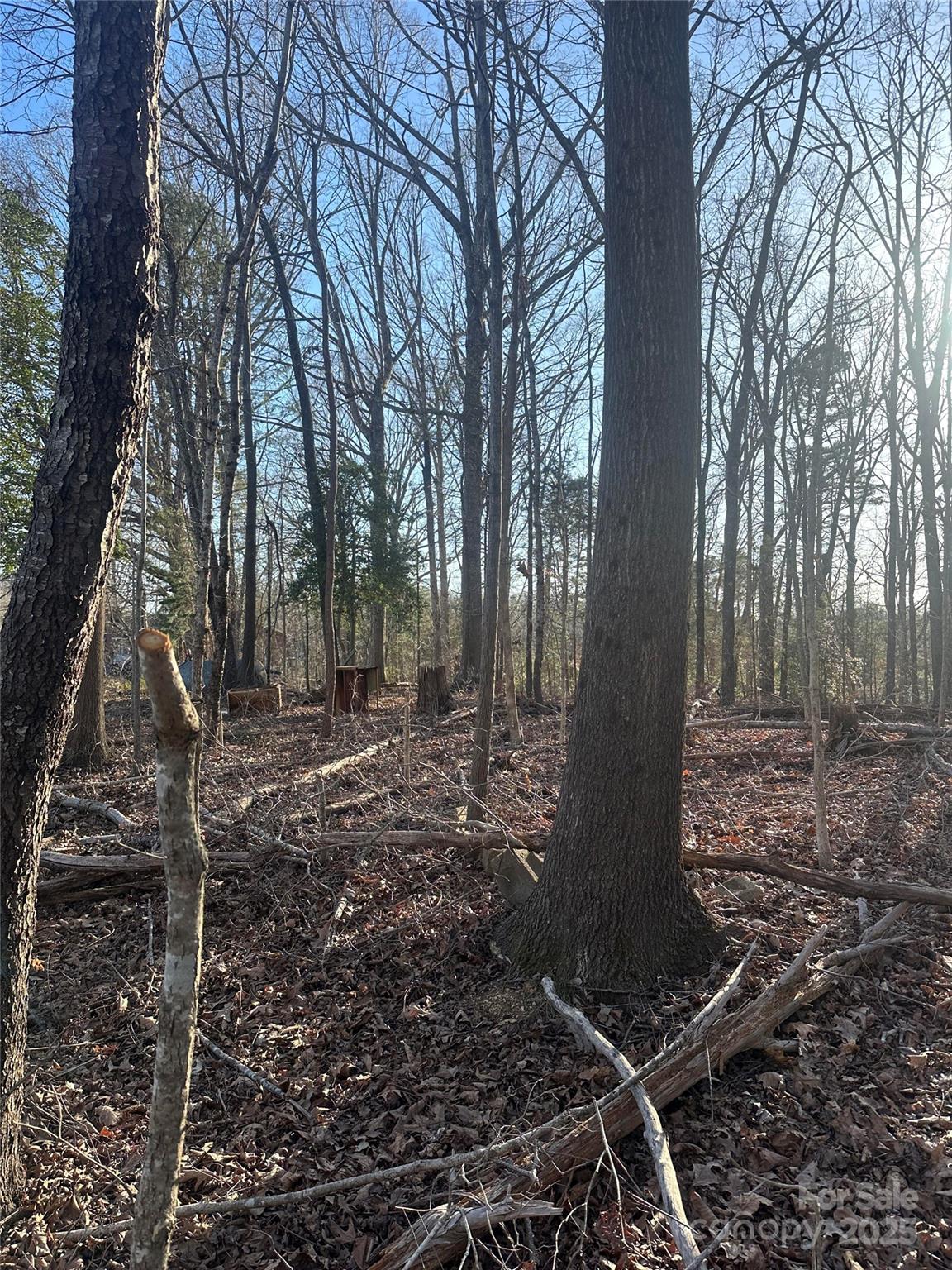 0 Dallas High Shoals Highway Property Photo 4