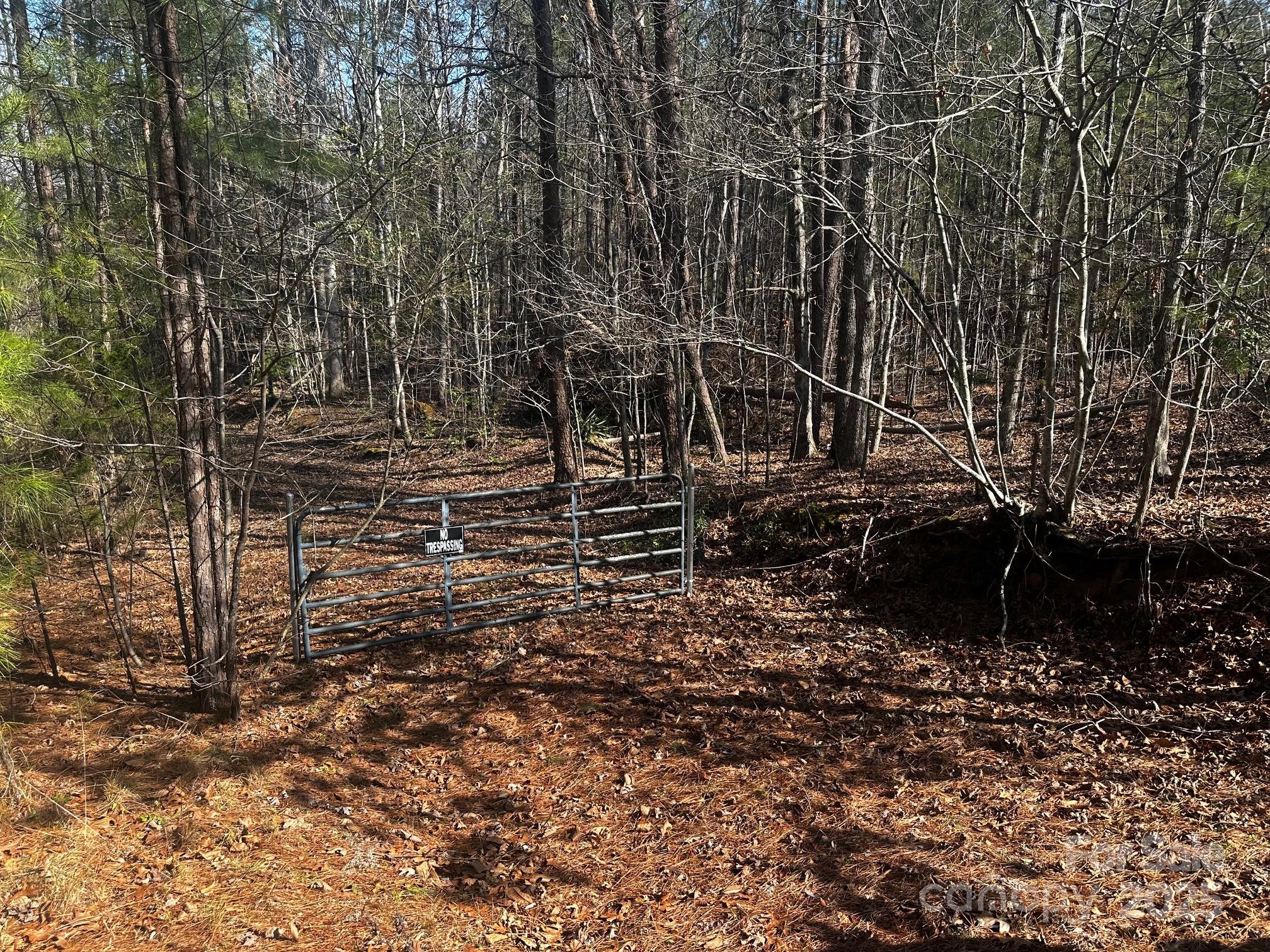 0000 Grassy Knob Road Property Photo 2