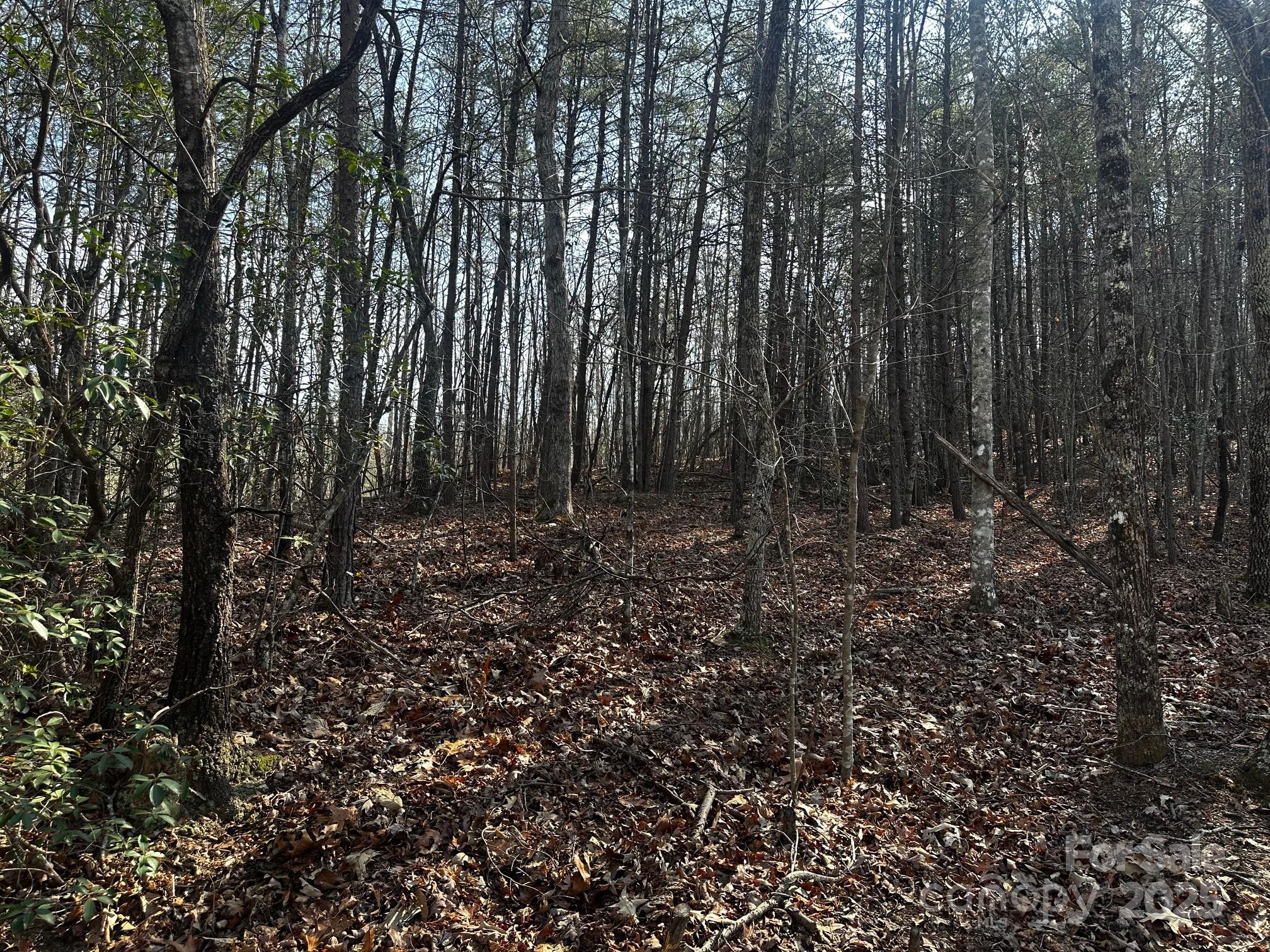 0000 Grassy Knob Road Property Photo 3
