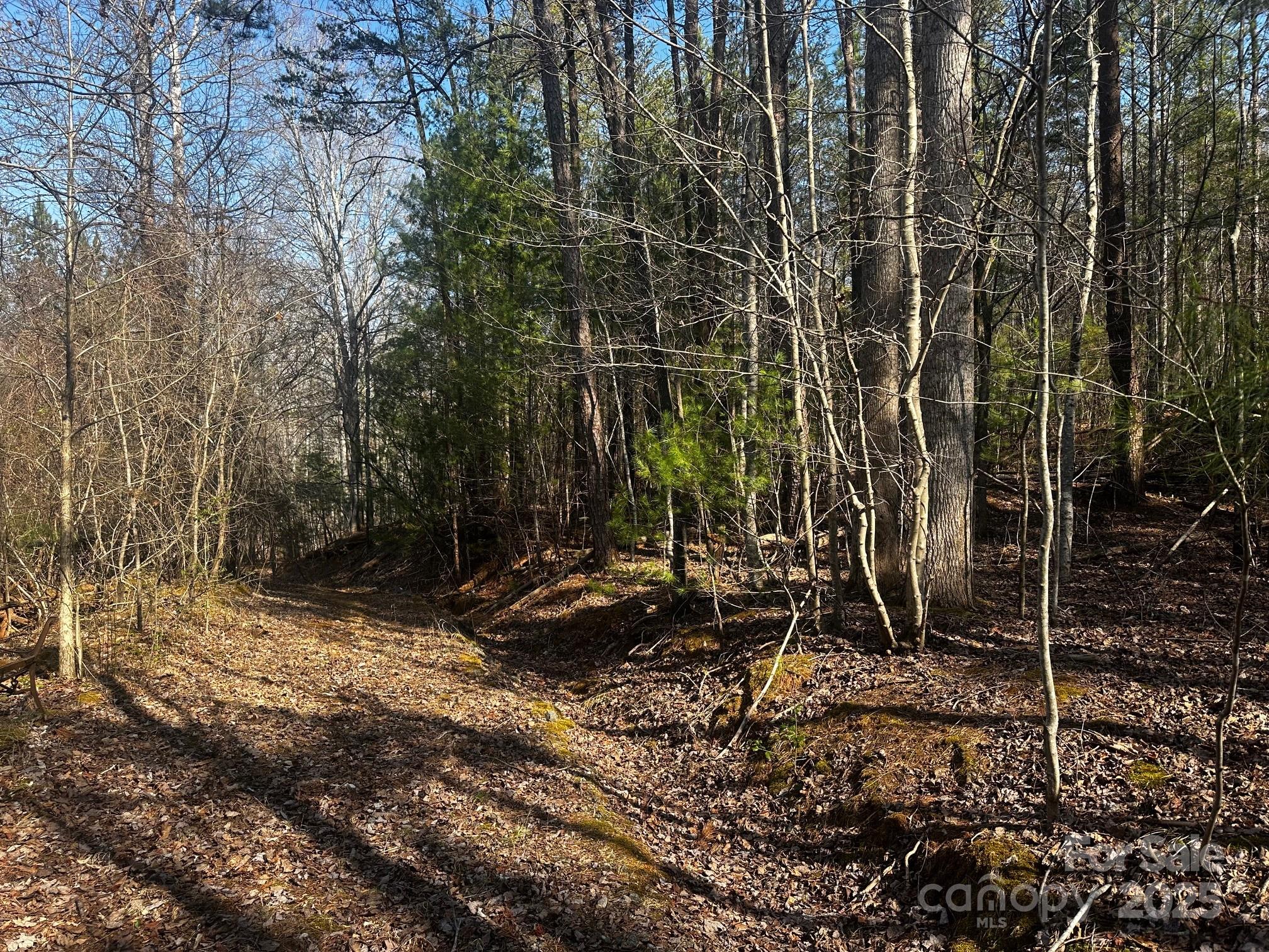 0000 Grassy Knob Road Property Photo 4