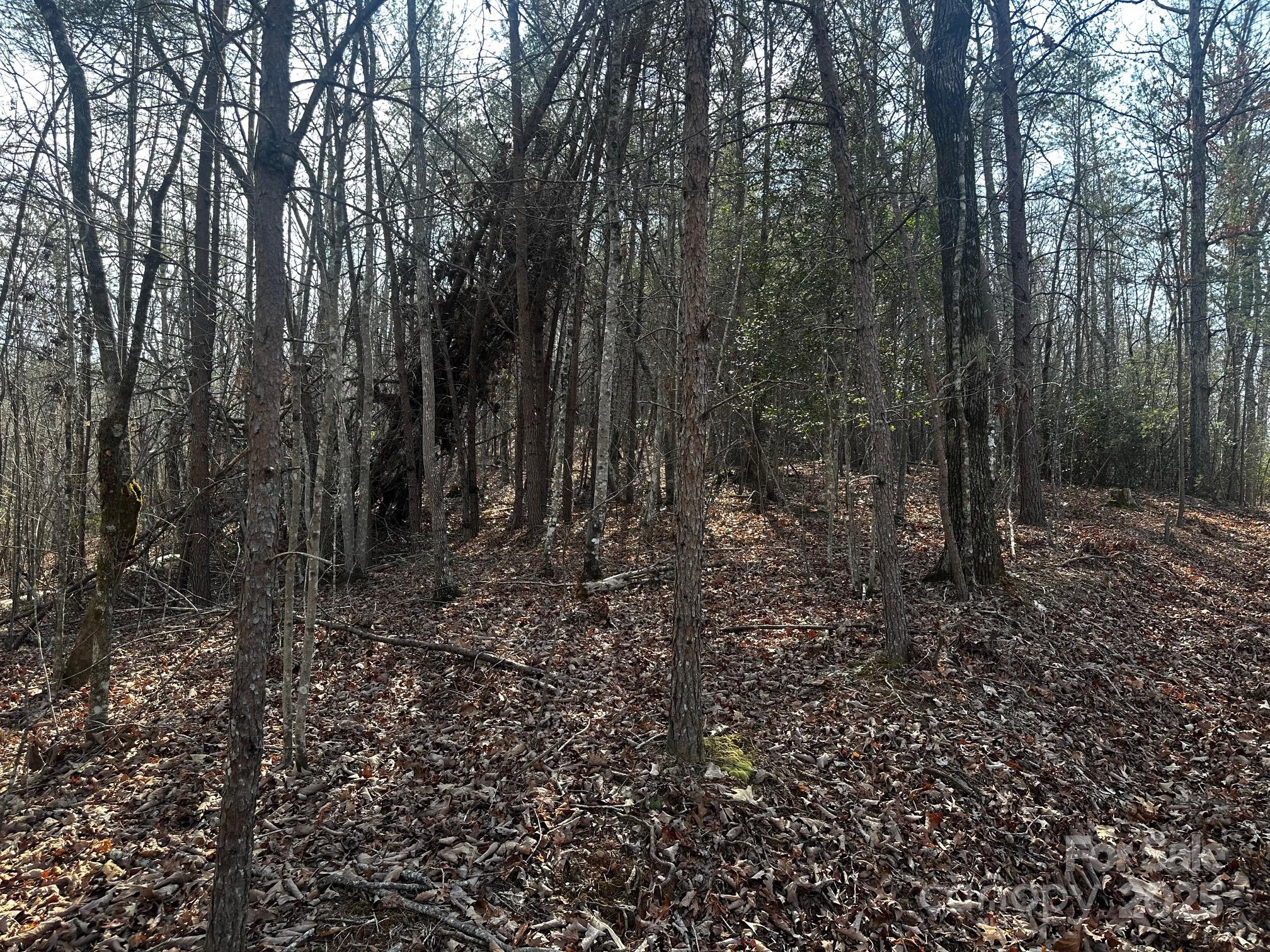 0000 Grassy Knob Road Property Photo 5