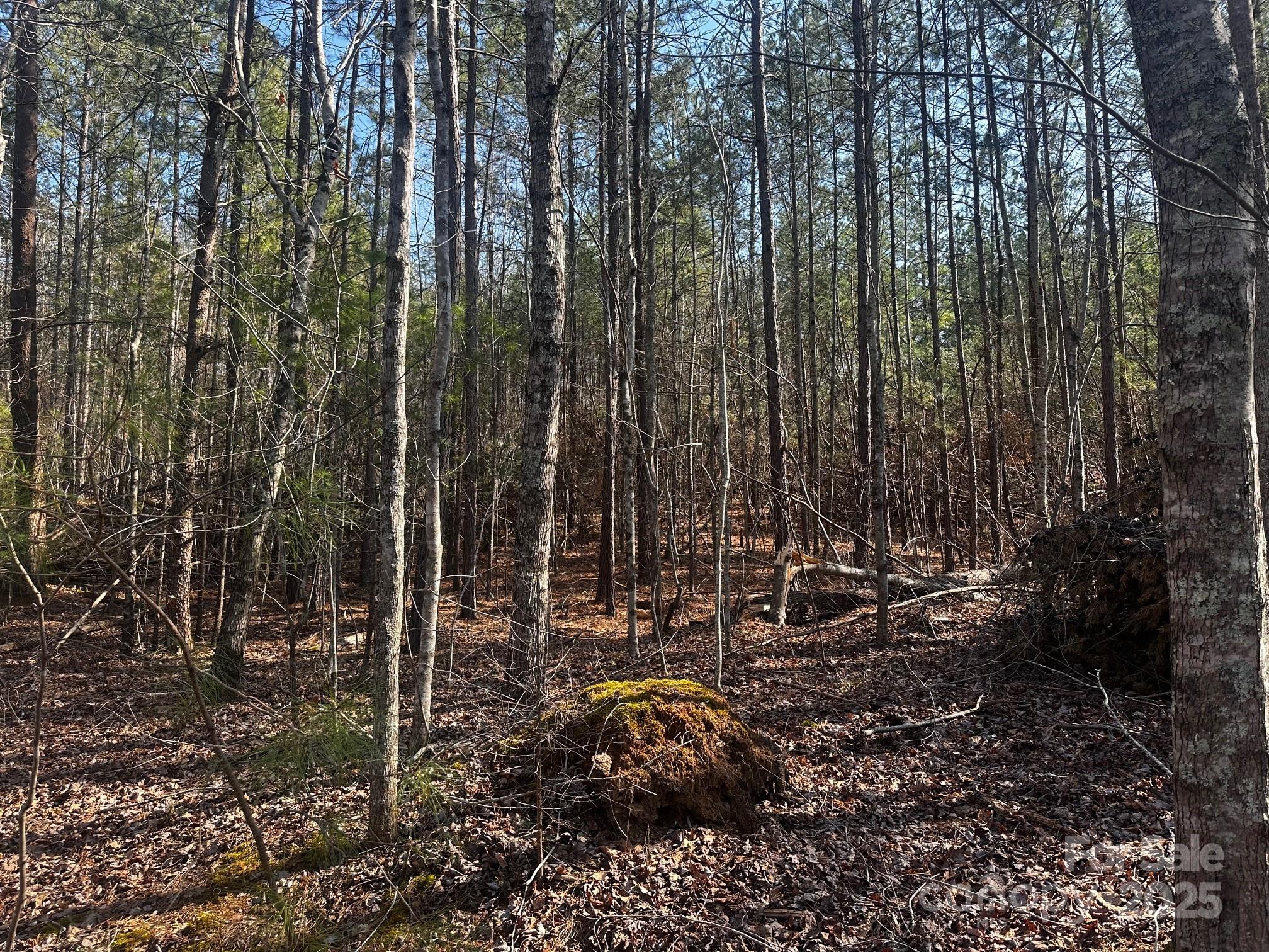 0000 Grassy Knob Road Property Photo 6