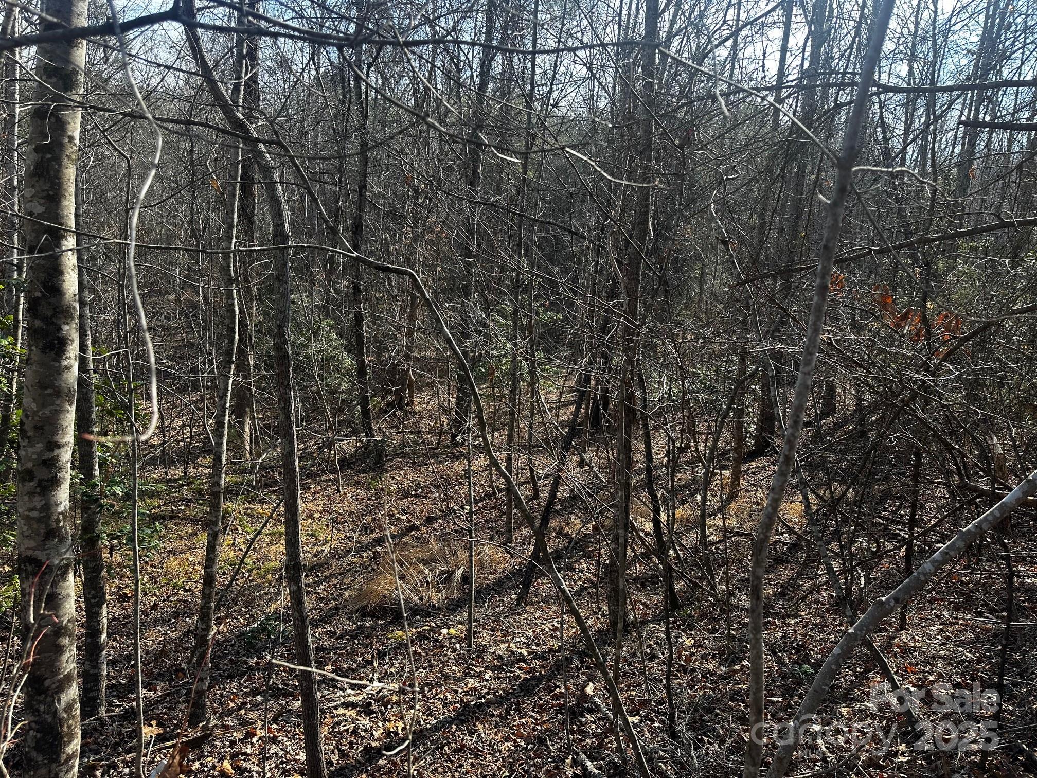 0000 Grassy Knob Road Property Photo 7